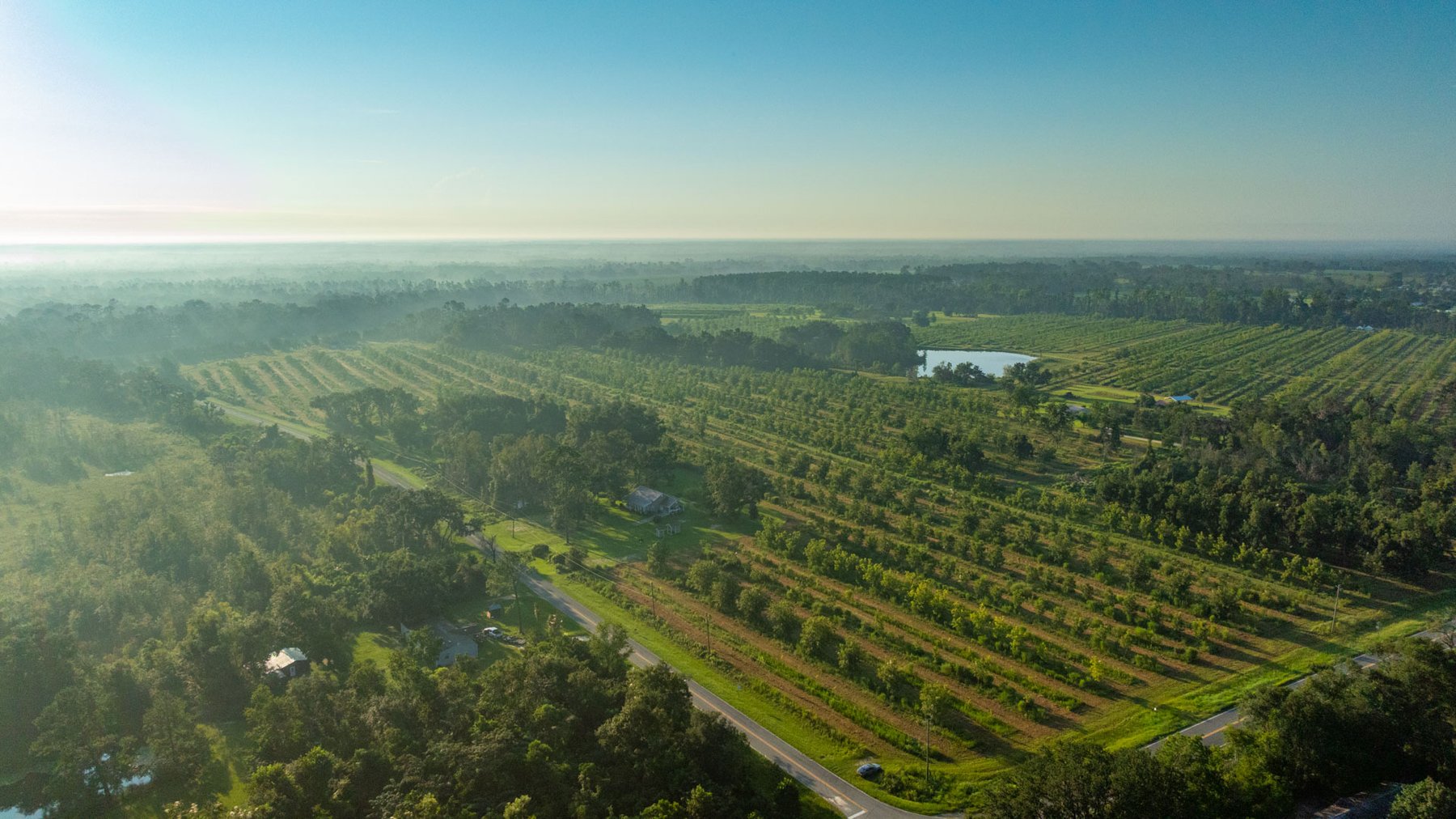 Image for 143± Acres - Darsey Orchard - Surrounded by Residential Growth with Mini-Farm Opportunities - Irrigated Pecan Orchard with Ample Frontage