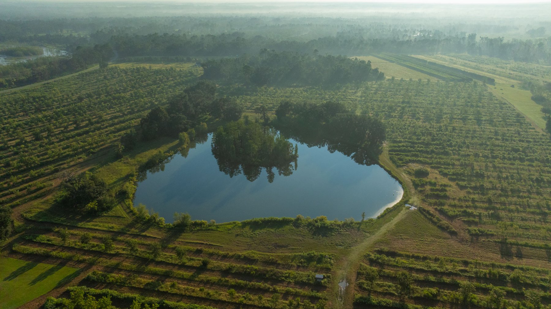 Image for 143± Acres - Darsey Orchard - Surrounded by Residential Growth with Mini-Farm Opportunities - Irrigated Pecan Orchard with Ample Frontage