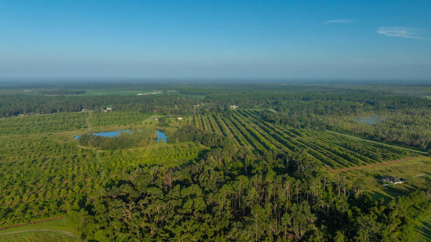 Image for 143± Acres - Darsey Orchard - Surrounded by Residential Growth with Mini-Farm Opportunities - Irrigated Pecan Orchard with Ample Frontage