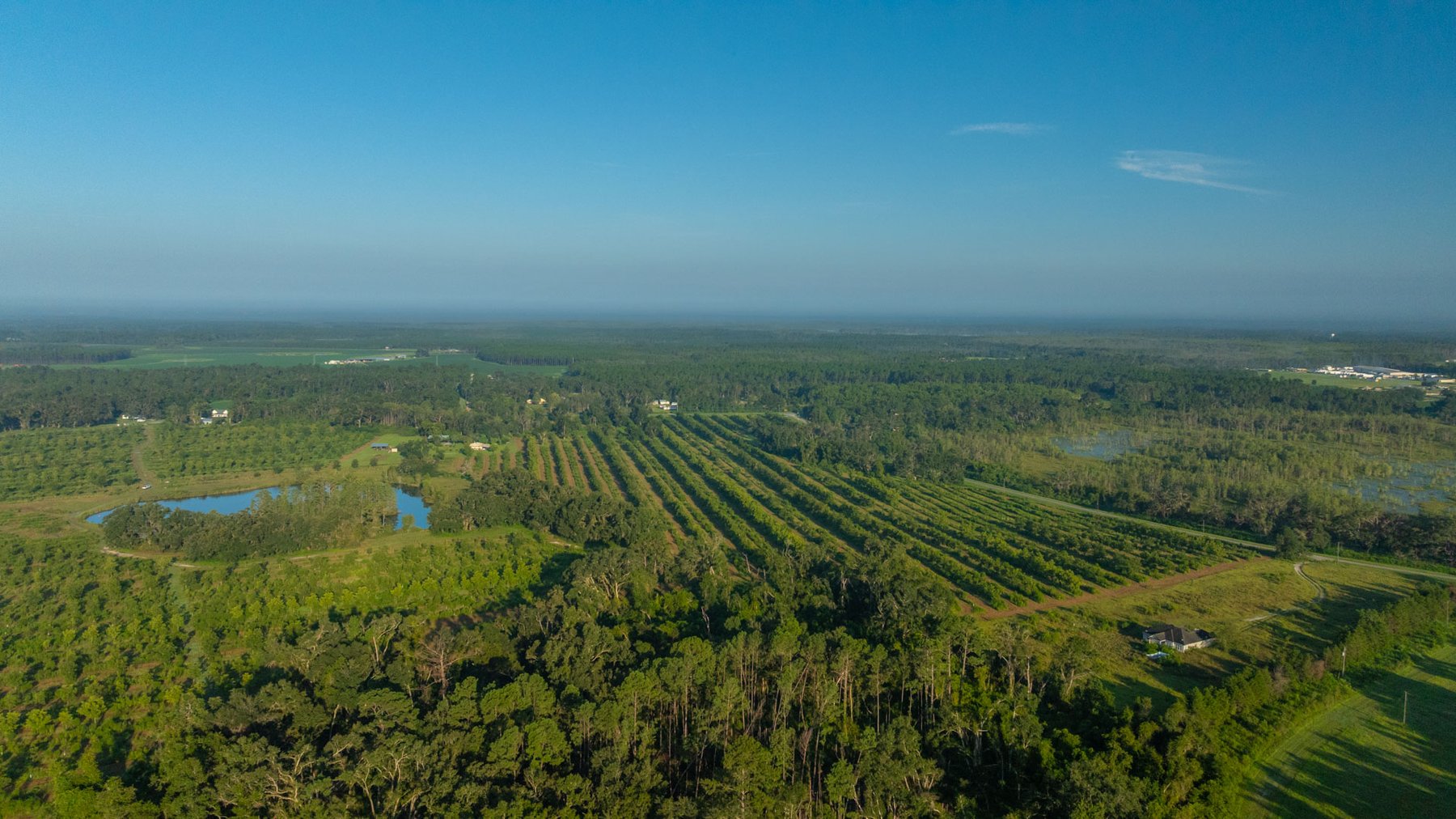 Image for 143± Acres - Darsey Orchard - Surrounded by Residential Growth with Mini-Farm Opportunities - Irrigated Pecan Orchard with Ample Frontage