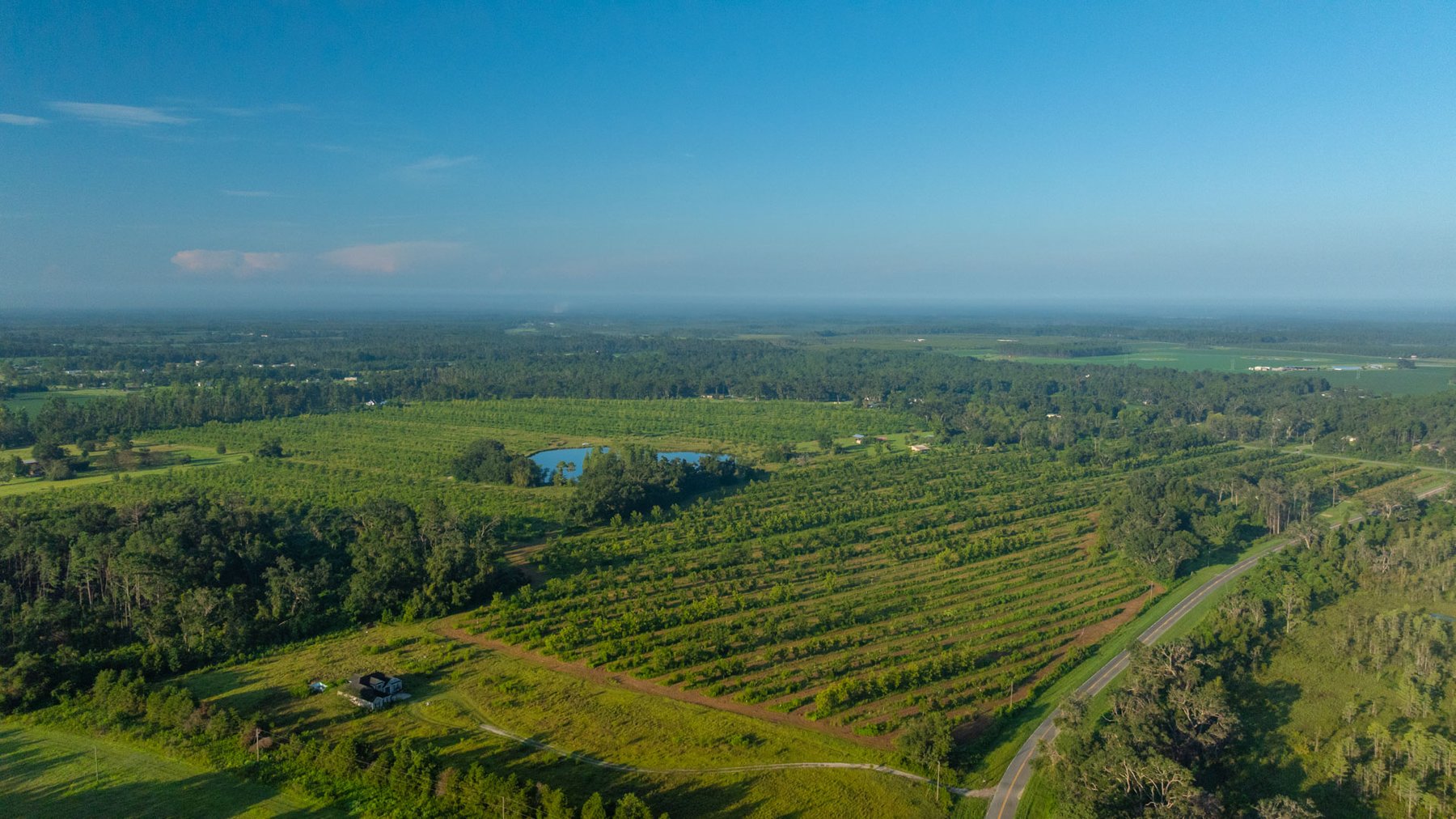 Image for 143± Acres - Darsey Orchard - Surrounded by Residential Growth with Mini-Farm Opportunities - Irrigated Pecan Orchard with Ample Frontage
