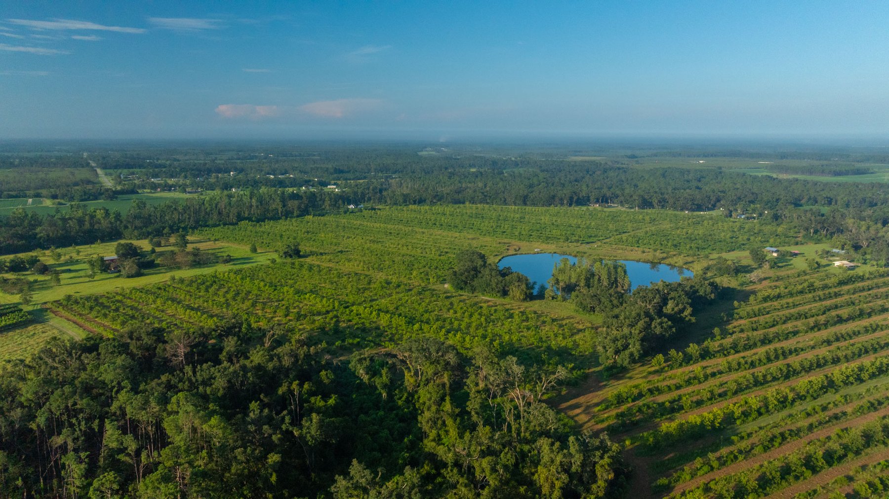 Image for 143± Acres - Darsey Orchard - Surrounded by Residential Growth with Mini-Farm Opportunities - Irrigated Pecan Orchard with Ample Frontage