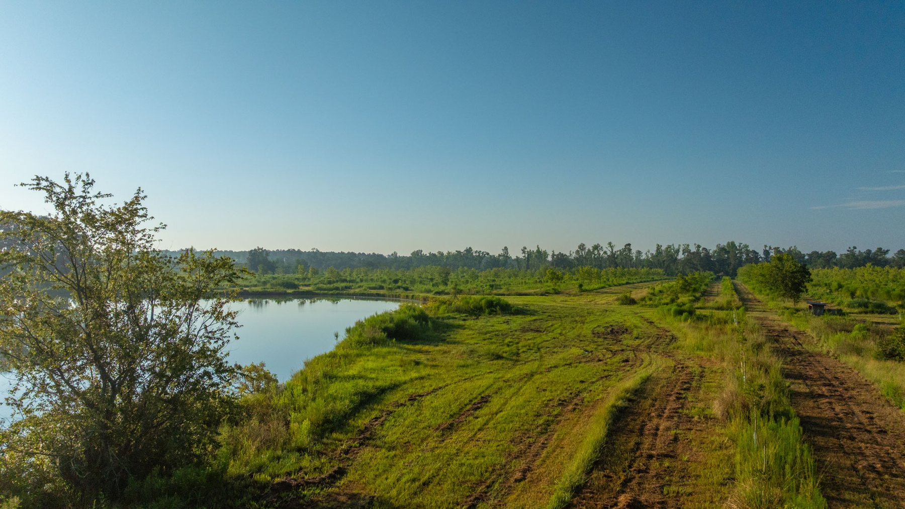 Image for 143± Acres - Darsey Orchard - Surrounded by Residential Growth with Mini-Farm Opportunities - Irrigated Pecan Orchard with Ample Frontage