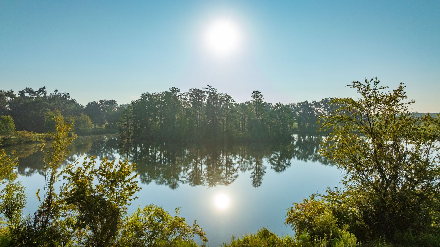 Image for 143± Acres - Darsey Orchard - Surrounded by Residential Growth with Mini-Farm Opportunities - Irrigated Pecan Orchard with Ample Frontage