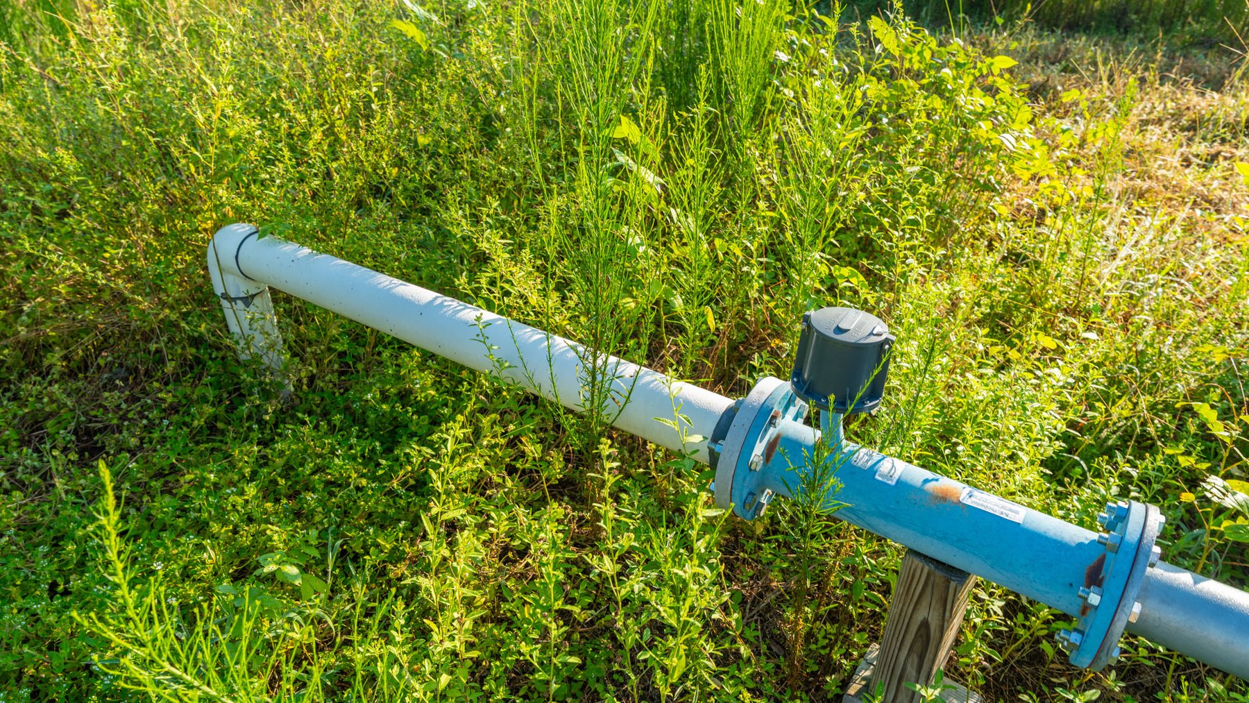 Image for 143± Acres - Darsey Orchard - Surrounded by Residential Growth with Mini-Farm Opportunities - Irrigated Pecan Orchard with Ample Frontage