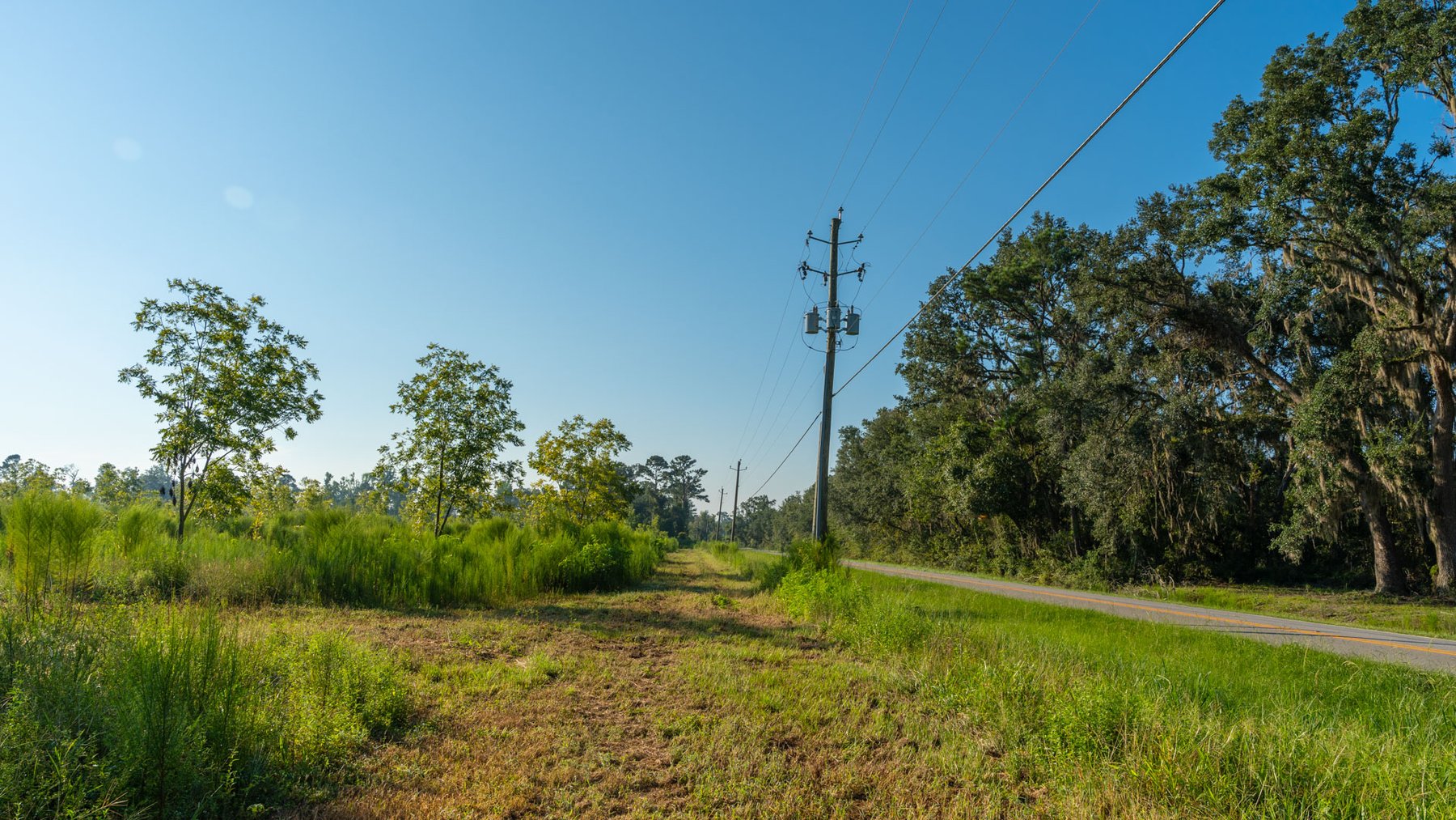 Image for 143± Acres - Darsey Orchard - Surrounded by Residential Growth with Mini-Farm Opportunities - Irrigated Pecan Orchard with Ample Frontage