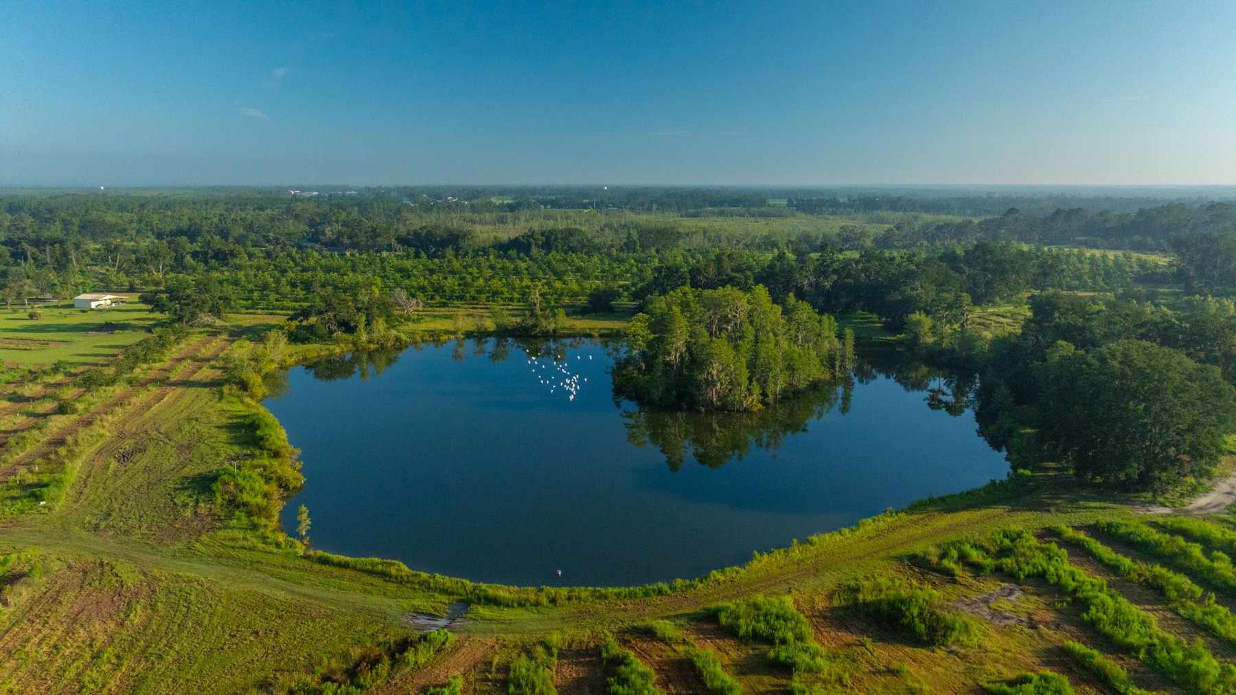 Image for 143± Acres - Darsey Orchard - Surrounded by Residential Growth with Mini-Farm Opportunities - Irrigated Pecan Orchard with Ample Frontage