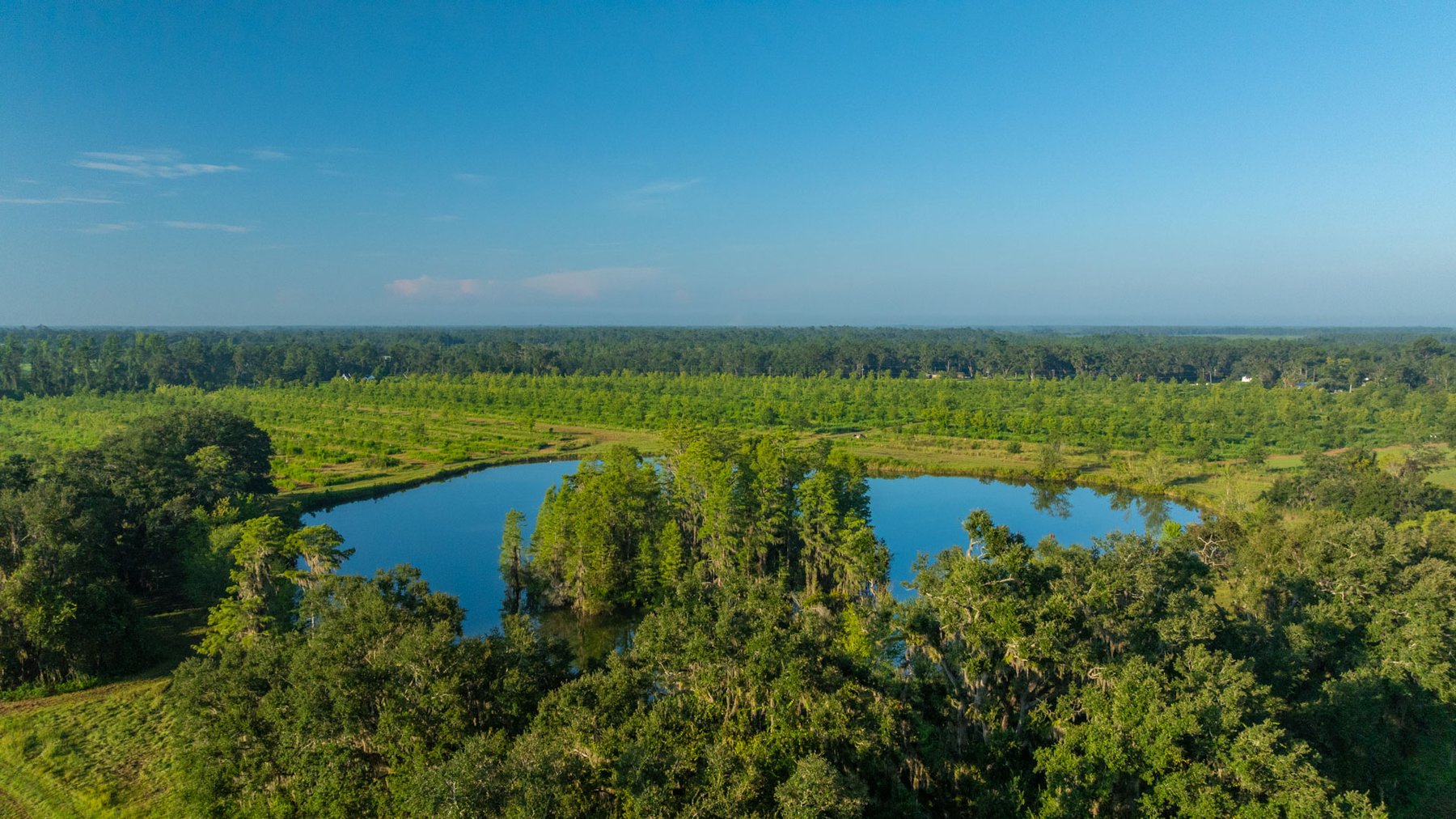 Image for 143± Acres - Darsey Orchard - Surrounded by Residential Growth with Mini-Farm Opportunities - Irrigated Pecan Orchard with Ample Frontage