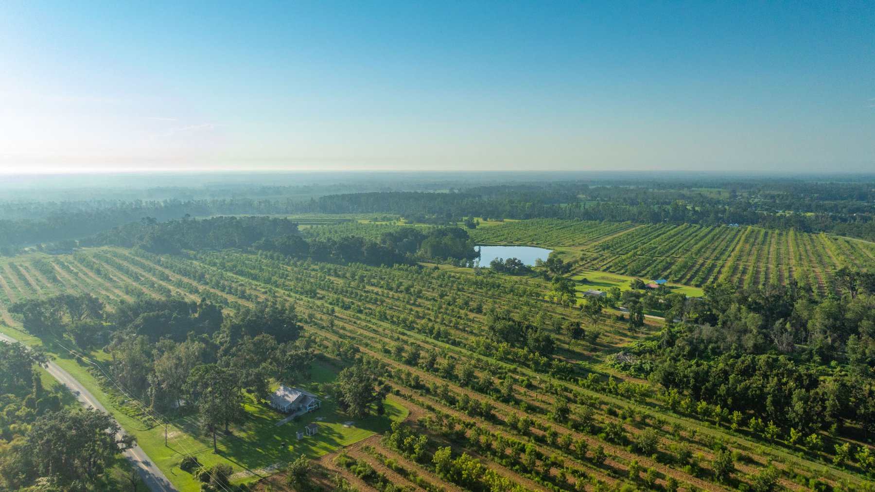 Image for 143± Acres - Darsey Orchard - Surrounded by Residential Growth with Mini-Farm Opportunities - Irrigated Pecan Orchard with Ample Frontage
