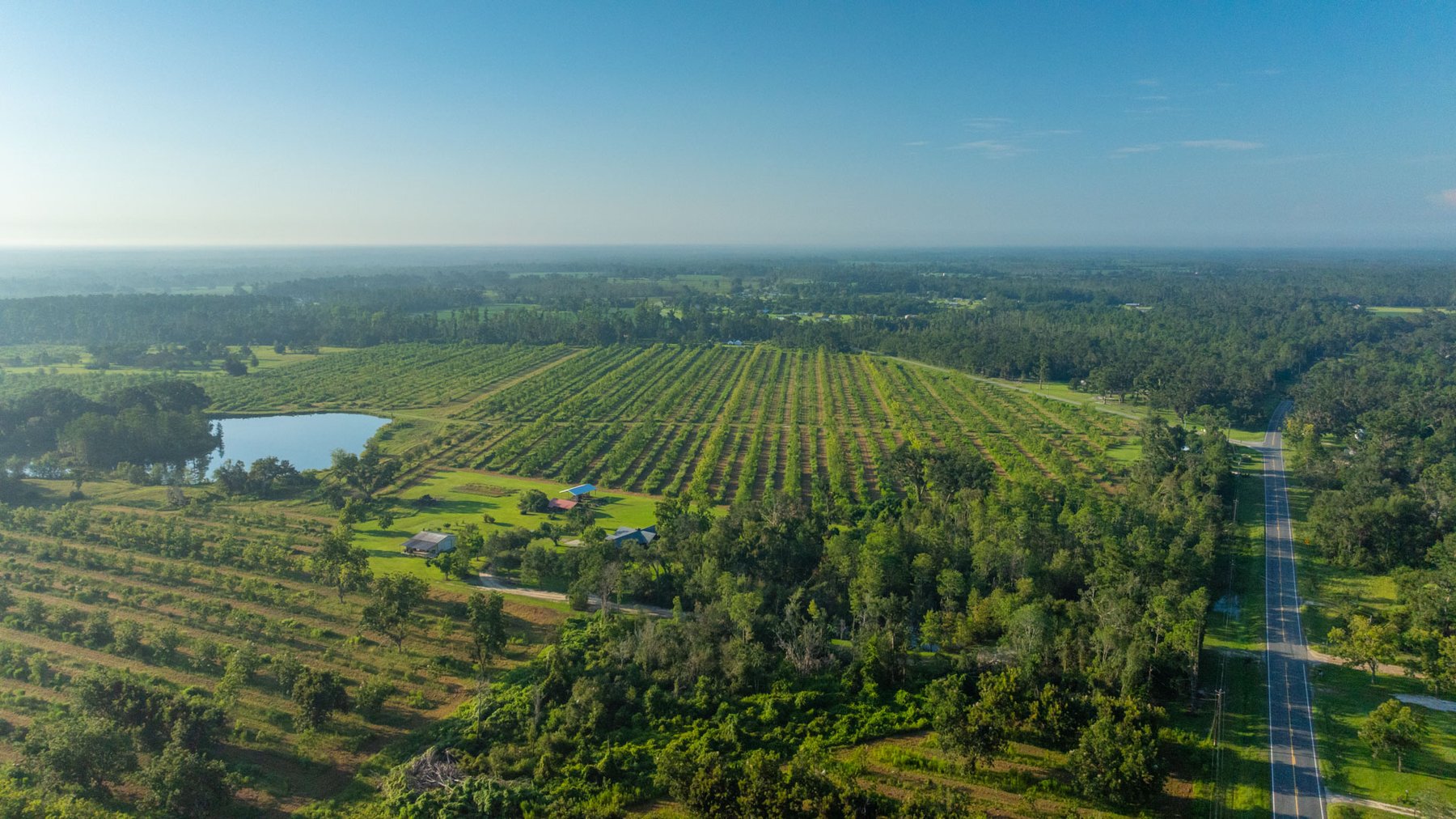 Image for 143± Acres - Darsey Orchard - Surrounded by Residential Growth with Mini-Farm Opportunities - Irrigated Pecan Orchard with Ample Frontage