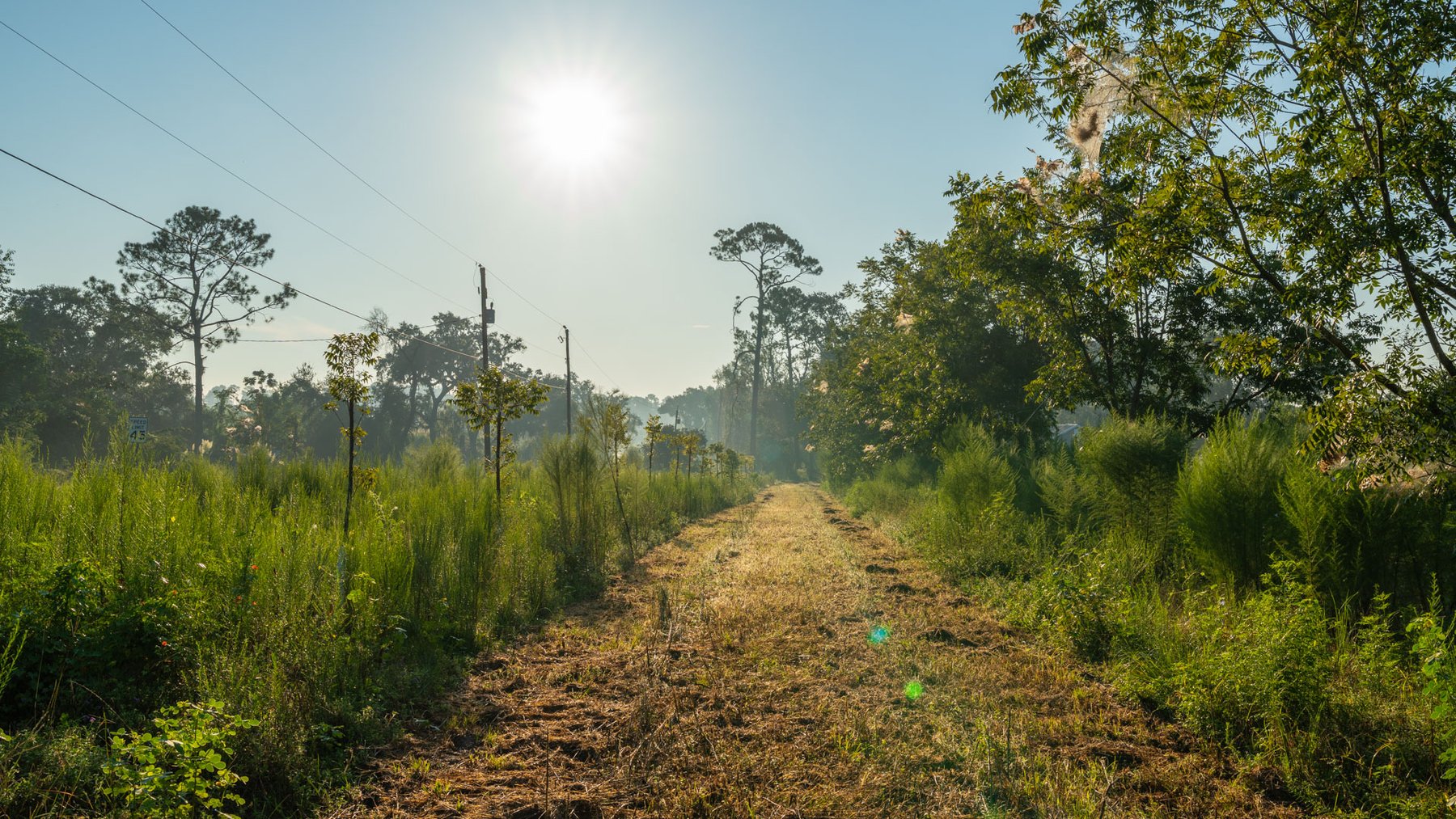 Image for 143± Acres - Darsey Orchard - Surrounded by Residential Growth with Mini-Farm Opportunities - Irrigated Pecan Orchard with Ample Frontage