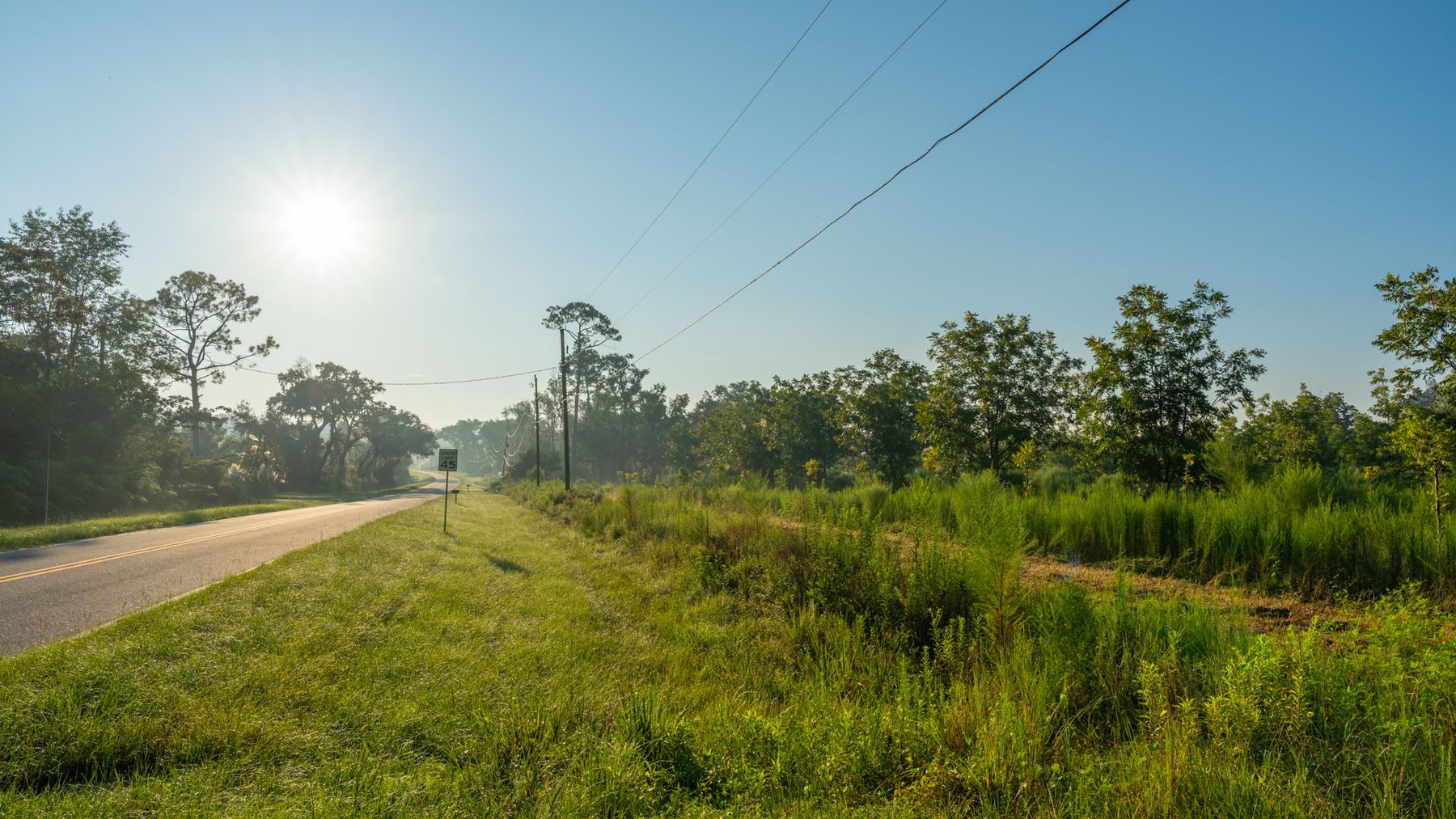 Image for 143± Acres - Darsey Orchard - Surrounded by Residential Growth with Mini-Farm Opportunities - Irrigated Pecan Orchard with Ample Frontage