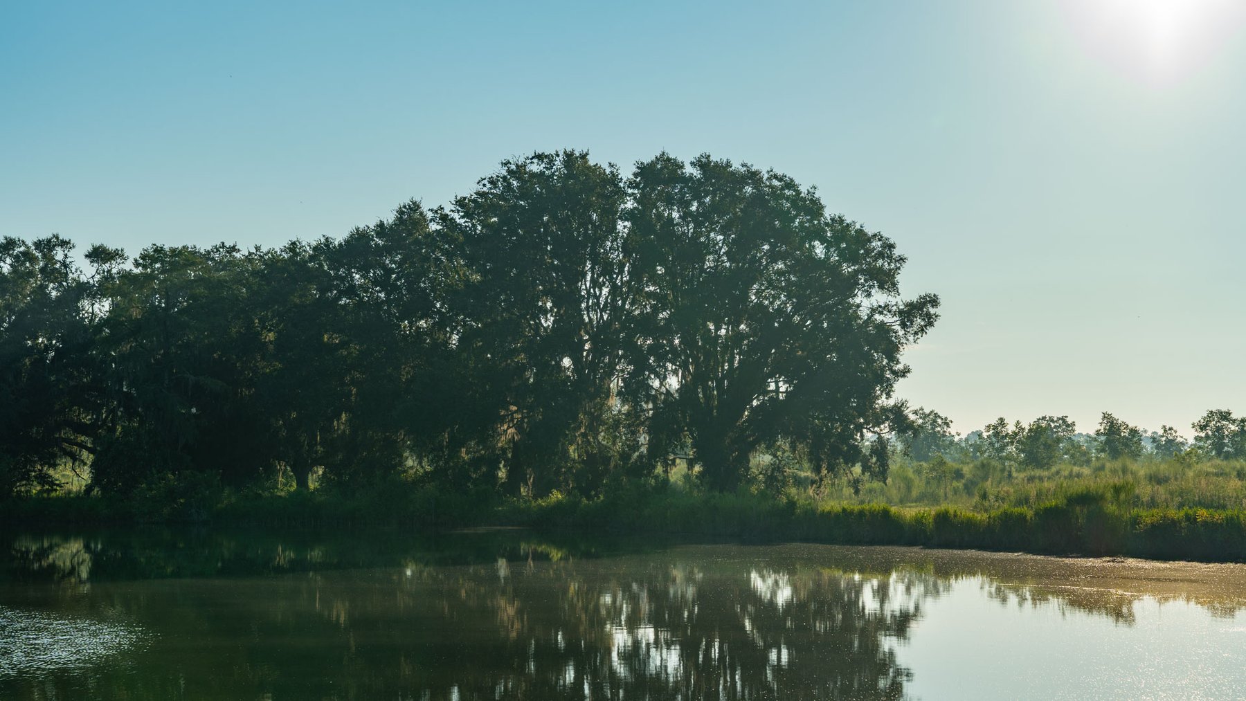 Image for 143± Acres - Darsey Orchard - Surrounded by Residential Growth with Mini-Farm Opportunities - Irrigated Pecan Orchard with Ample Frontage