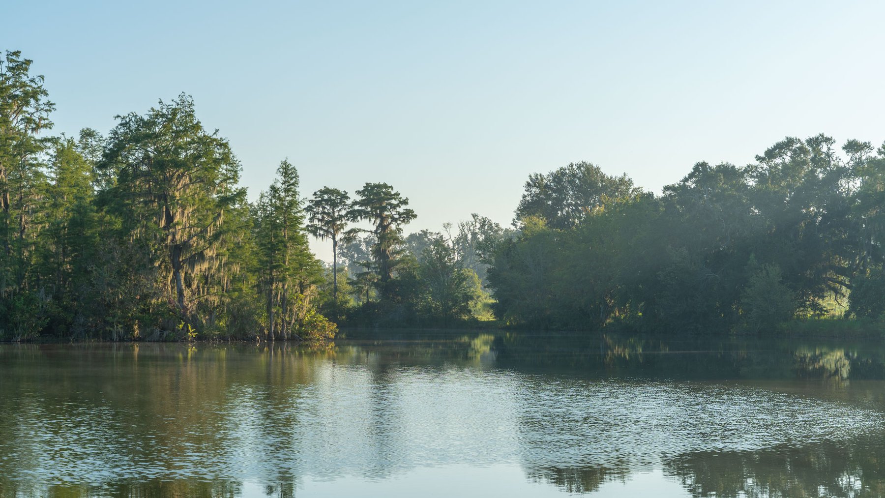 Image for 143± Acres - Darsey Orchard - Surrounded by Residential Growth with Mini-Farm Opportunities - Irrigated Pecan Orchard with Ample Frontage