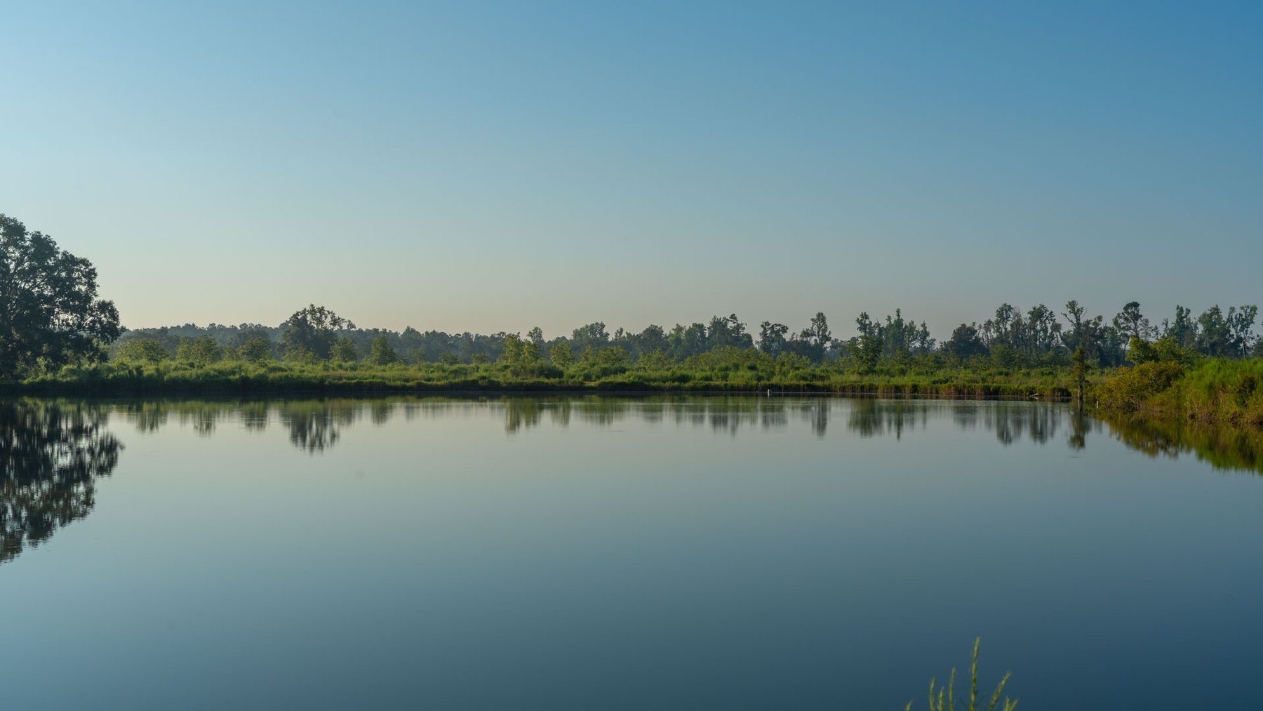Image for 143± Acres - Darsey Orchard - Surrounded by Residential Growth with Mini-Farm Opportunities - Irrigated Pecan Orchard with Ample Frontage
