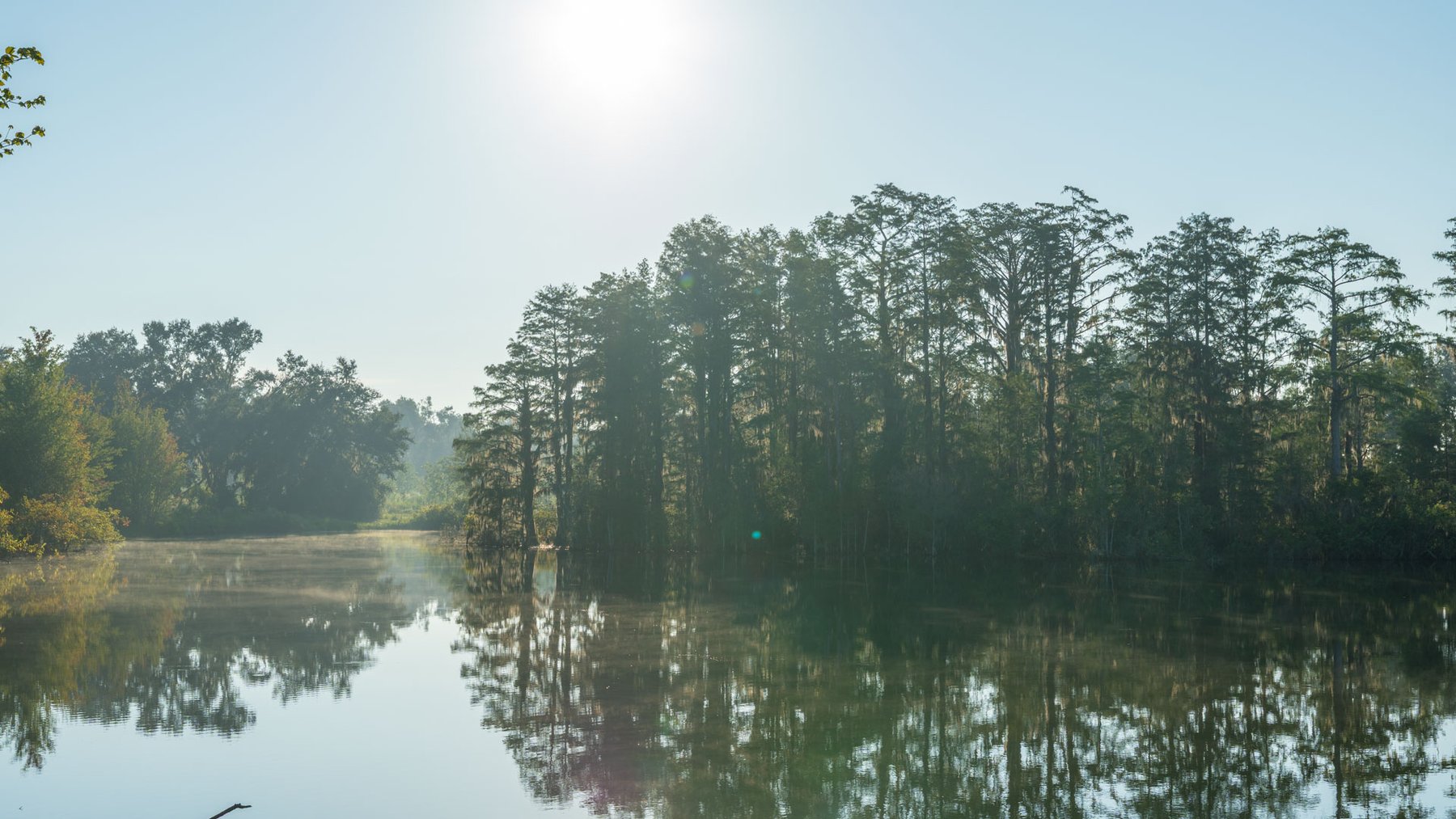 Image for 143± Acres - Darsey Orchard - Surrounded by Residential Growth with Mini-Farm Opportunities - Irrigated Pecan Orchard with Ample Frontage