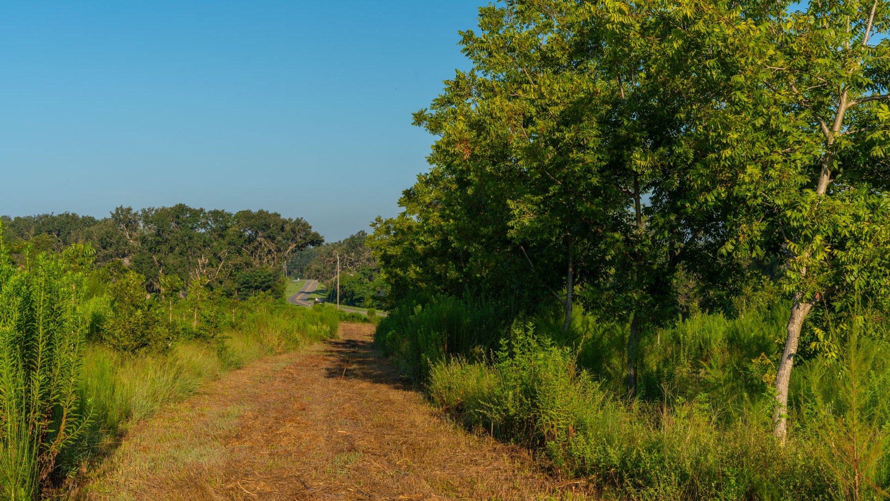 Image for 143± Acres - Darsey Orchard - Surrounded by Residential Growth with Mini-Farm Opportunities - Irrigated Pecan Orchard with Ample Frontage