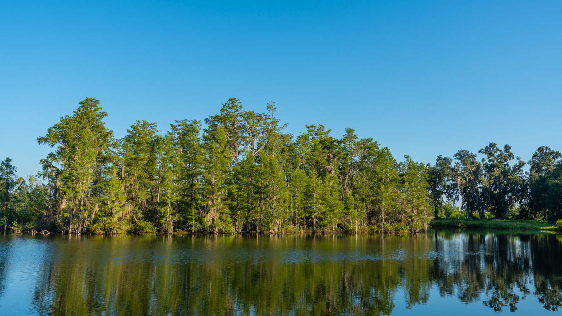 Image for 143± Acres - Darsey Orchard - Surrounded by Residential Growth with Mini-Farm Opportunities - Irrigated Pecan Orchard with Ample Frontage
