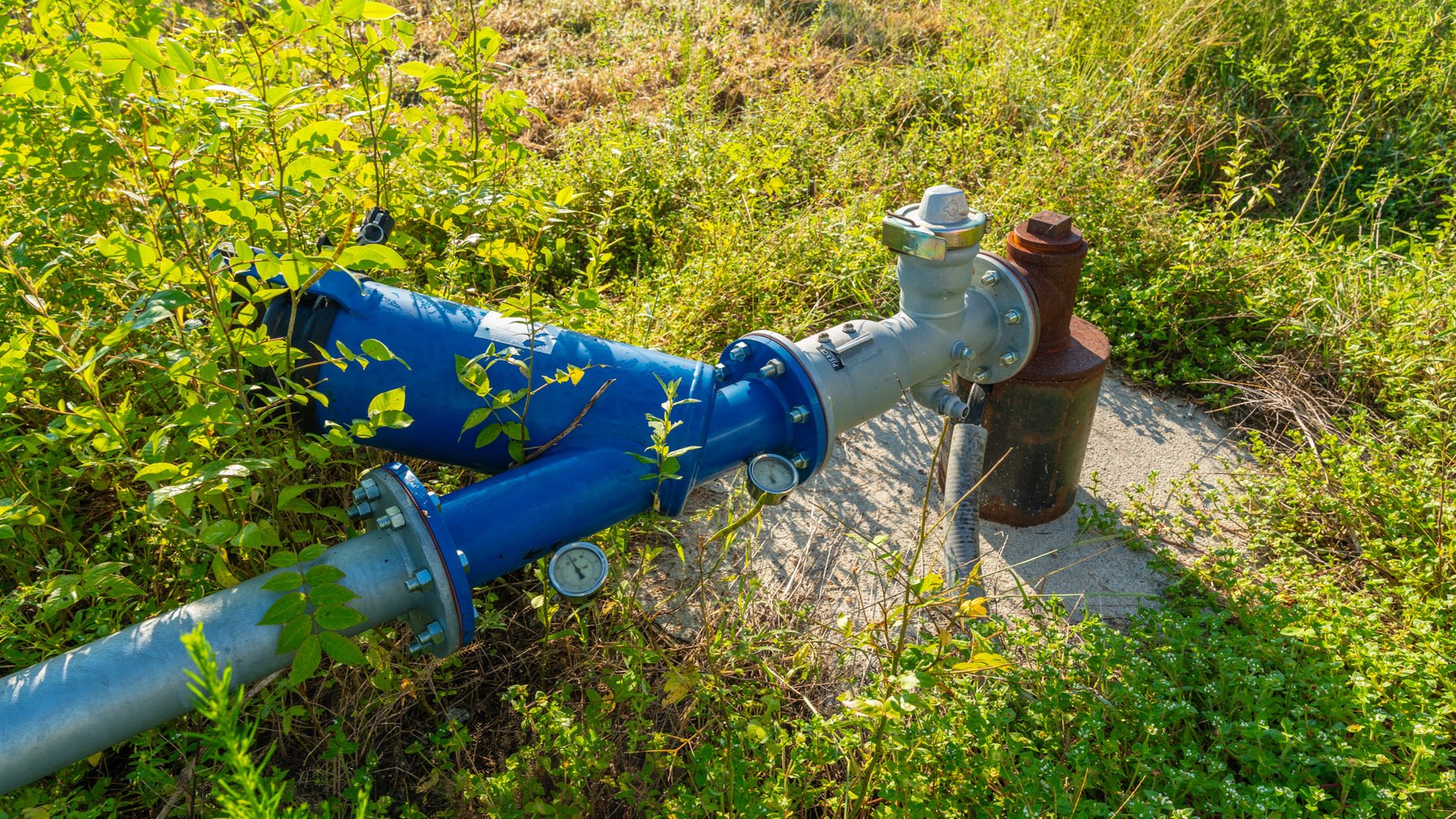 Image for 143± Acres - Darsey Orchard - Surrounded by Residential Growth with Mini-Farm Opportunities - Irrigated Pecan Orchard with Ample Frontage