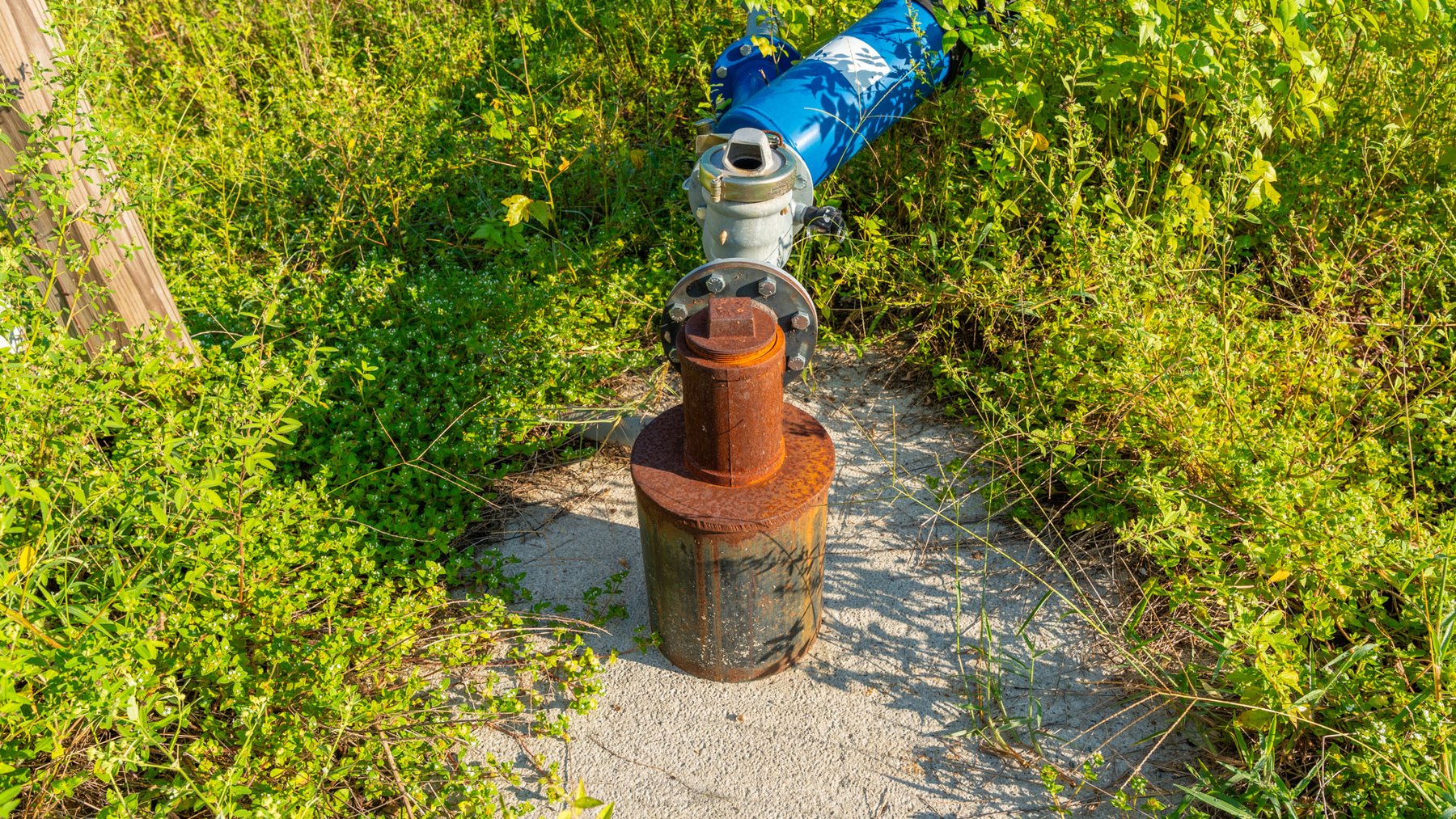 Image for 143± Acres - Darsey Orchard - Surrounded by Residential Growth with Mini-Farm Opportunities - Irrigated Pecan Orchard with Ample Frontage