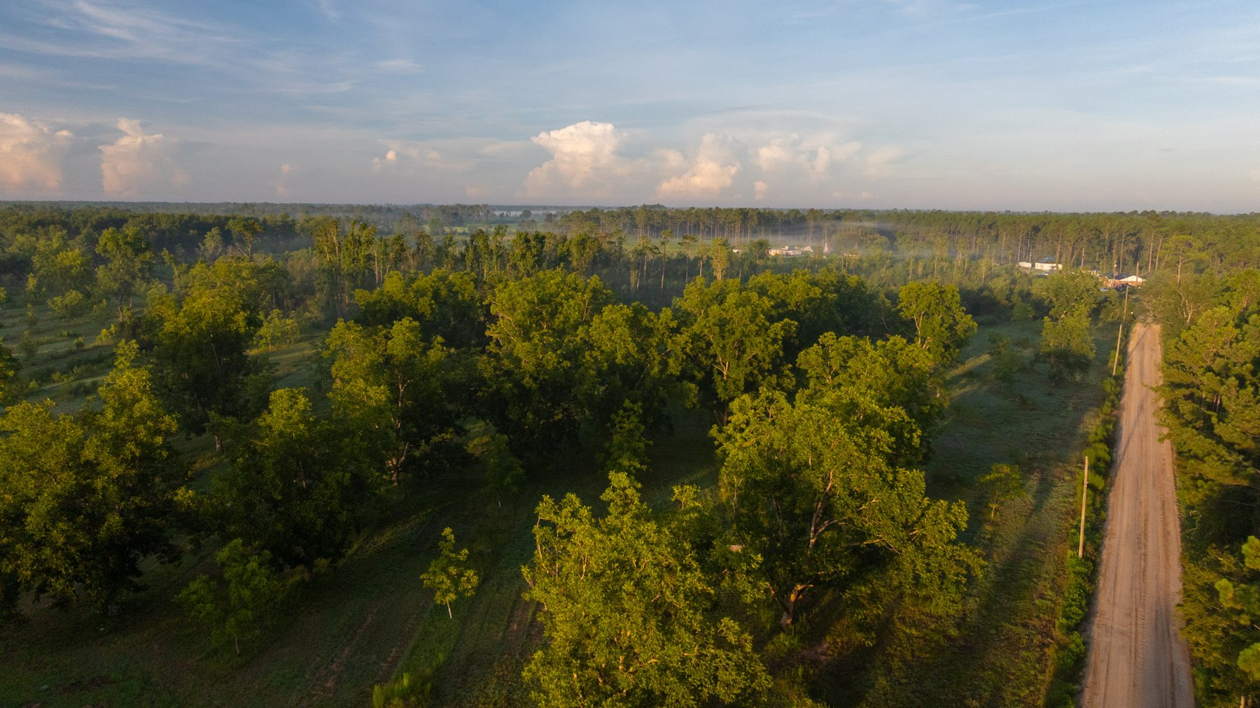 Image for 163± Acres - Chason Orchard - Ideal for Residential Homesites, Estate Lots & Expansion Opportunities - Irrigated Orchard with Home, Ample Frontage & Wooded Tracts