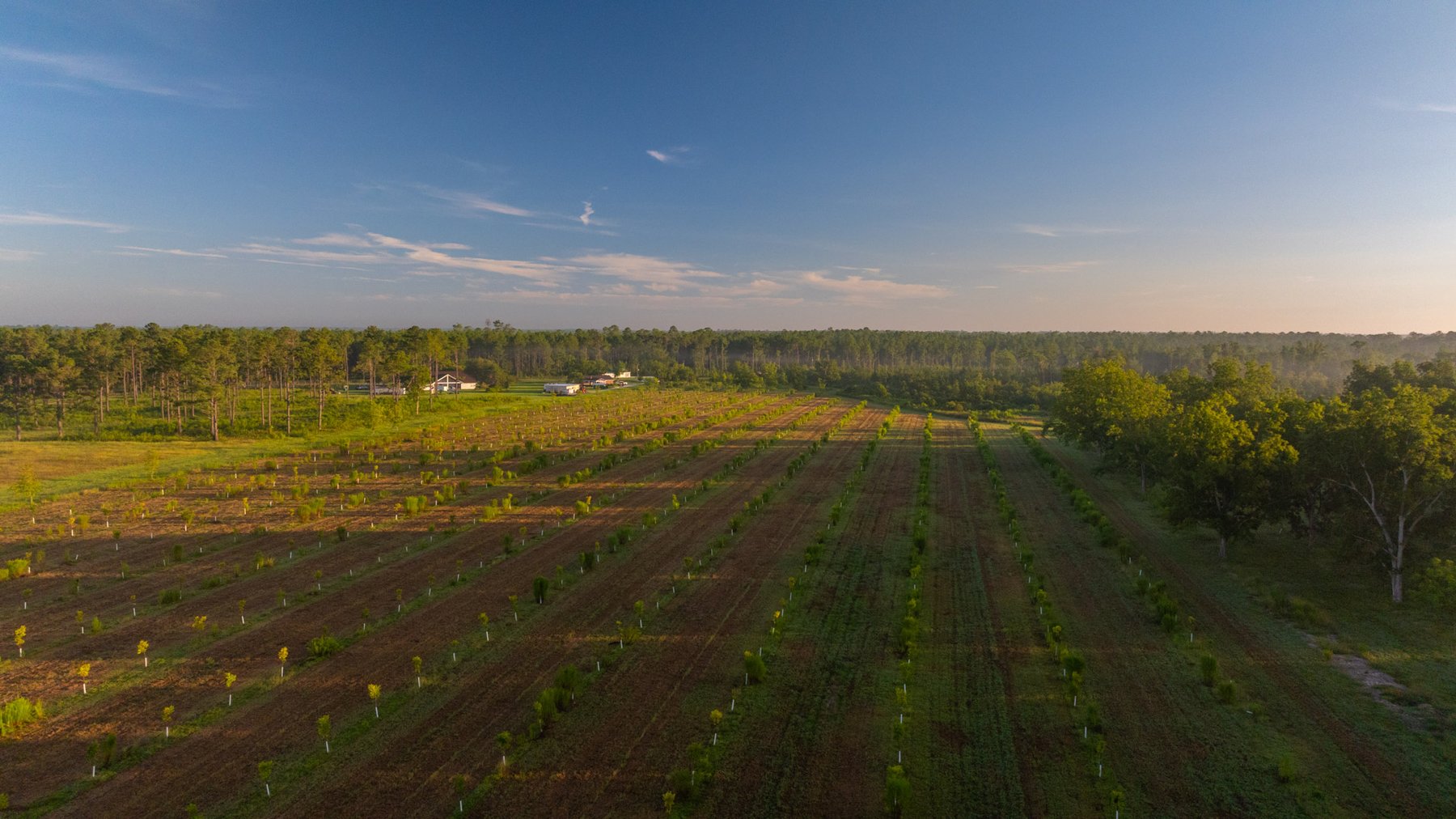 Image for 163± Acres - Chason Orchard - Ideal for Residential Homesites, Estate Lots & Expansion Opportunities - Irrigated Orchard with Home, Ample Frontage & Wooded Tracts