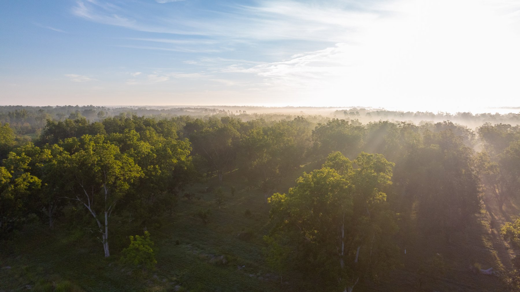 Image for 163± Acres - Chason Orchard - Ideal for Residential Homesites, Estate Lots & Expansion Opportunities - Irrigated Orchard with Home, Ample Frontage & Wooded Tracts