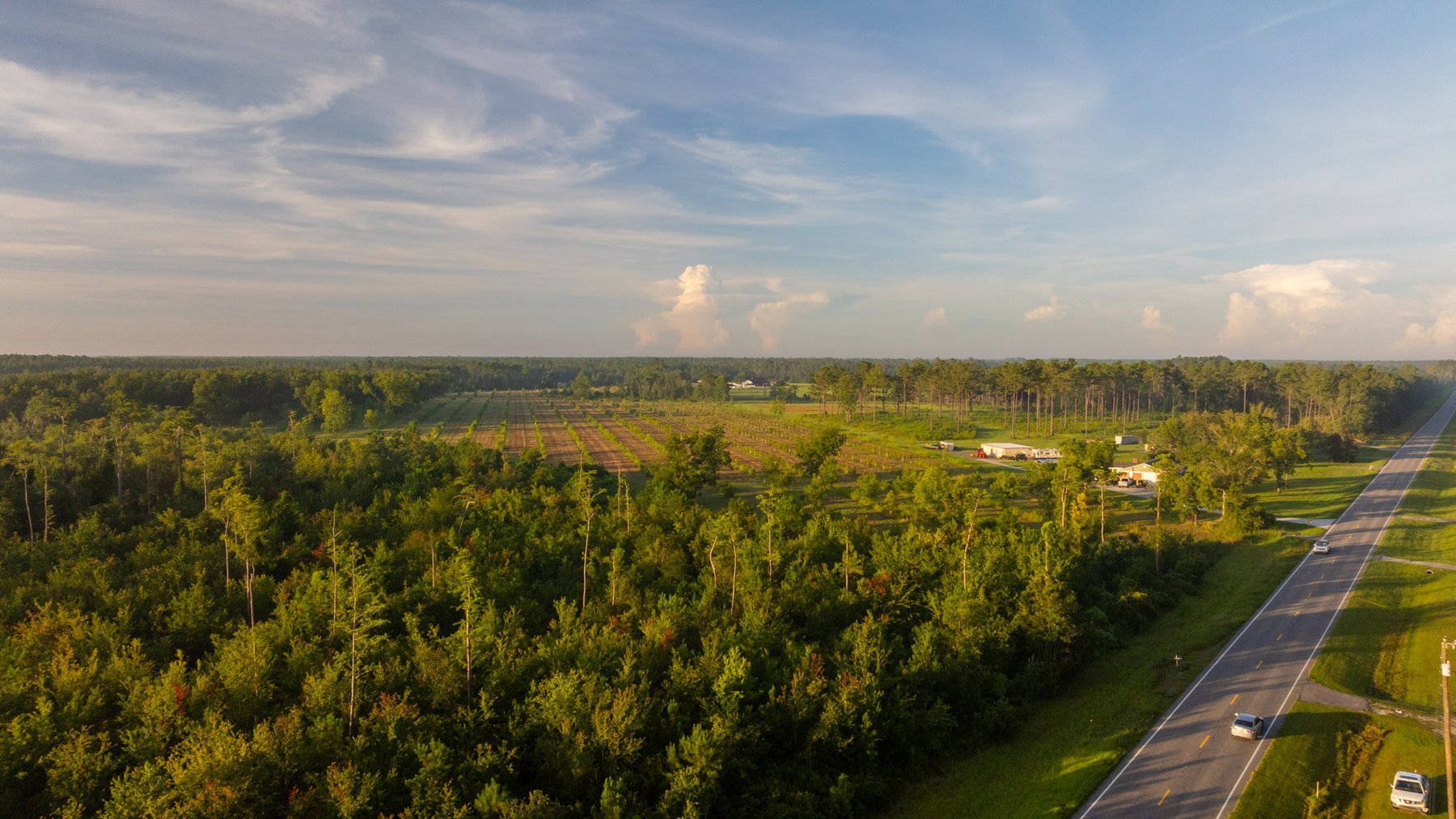 Image for 163± Acres - Chason Orchard - Ideal for Residential Homesites, Estate Lots & Expansion Opportunities - Irrigated Orchard with Home, Ample Frontage & Wooded Tracts