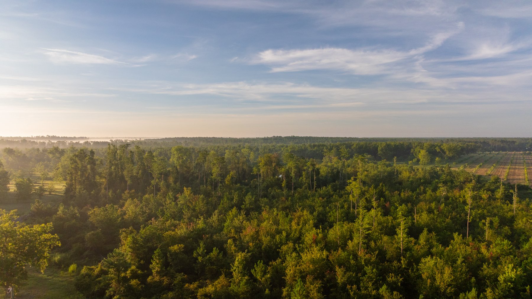 Image for 163± Acres - Chason Orchard - Ideal for Residential Homesites, Estate Lots & Expansion Opportunities - Irrigated Orchard with Home, Ample Frontage & Wooded Tracts