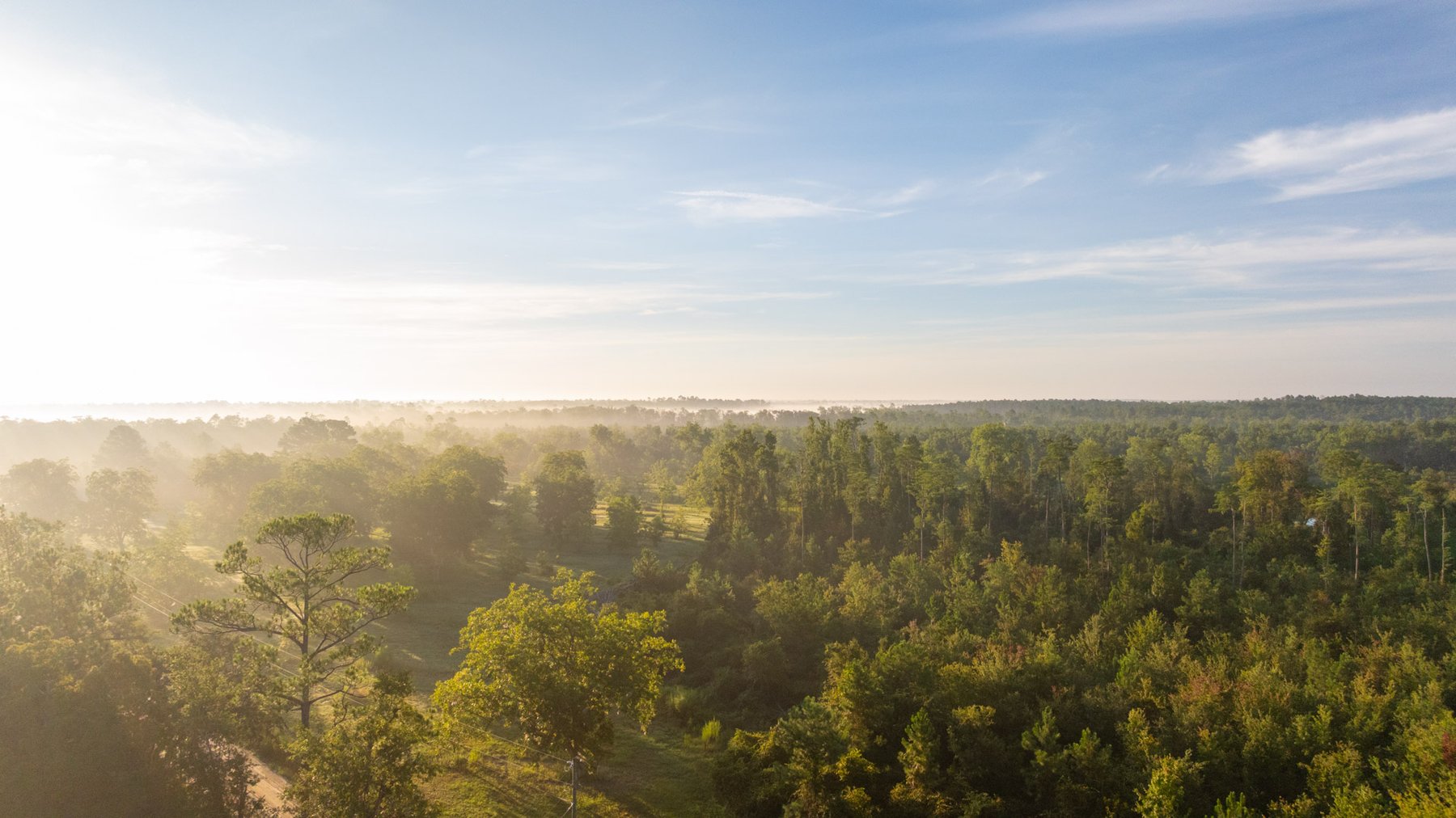 Image for 163± Acres - Chason Orchard - Ideal for Residential Homesites, Estate Lots & Expansion Opportunities - Irrigated Orchard with Home, Ample Frontage & Wooded Tracts