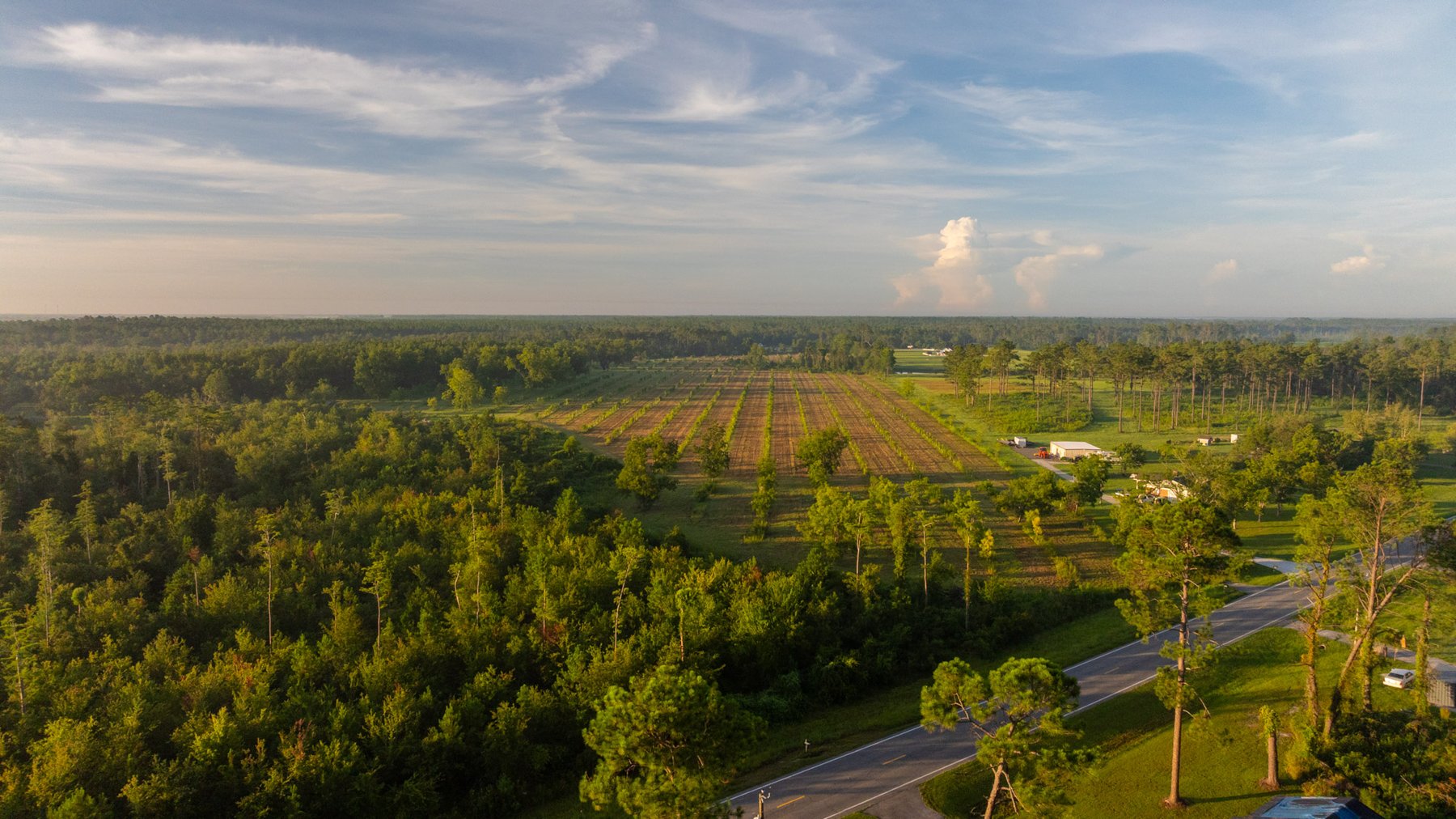 Image for 163± Acres - Chason Orchard - Ideal for Residential Homesites, Estate Lots & Expansion Opportunities - Irrigated Orchard with Home, Ample Frontage & Wooded Tracts
