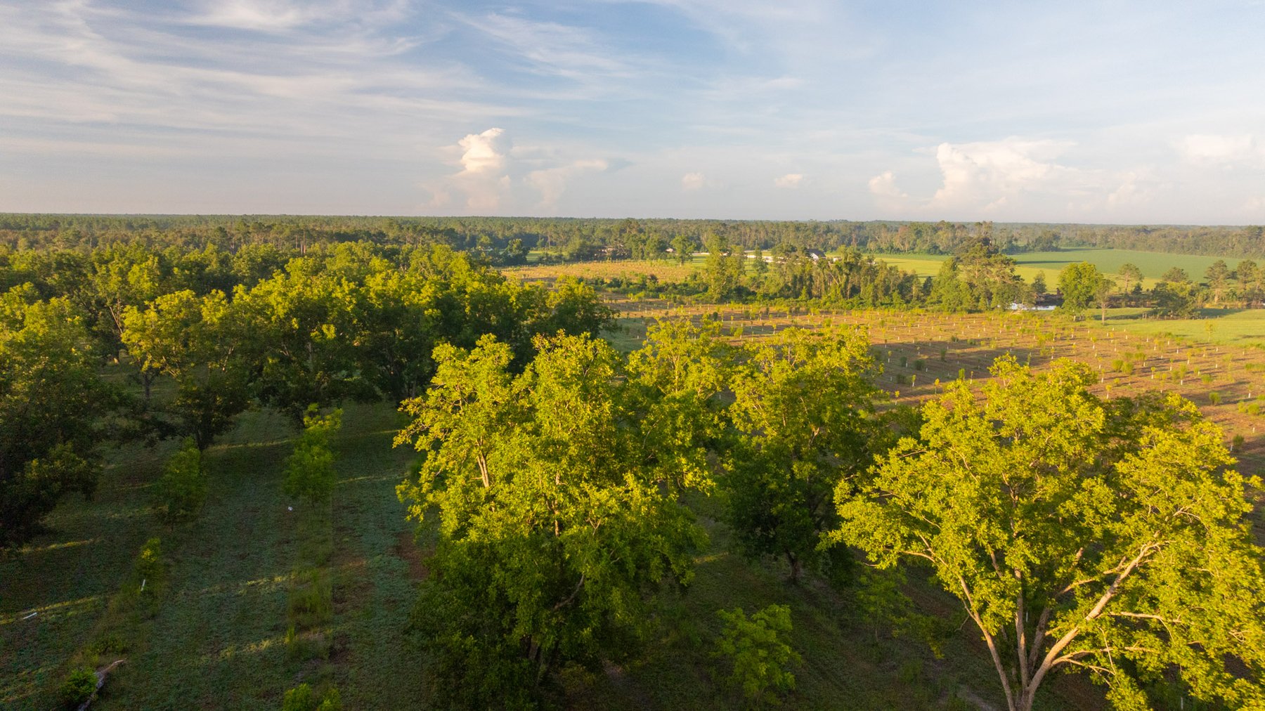 Image for 163± Acres - Chason Orchard - Ideal for Residential Homesites, Estate Lots & Expansion Opportunities - Irrigated Orchard with Home, Ample Frontage & Wooded Tracts