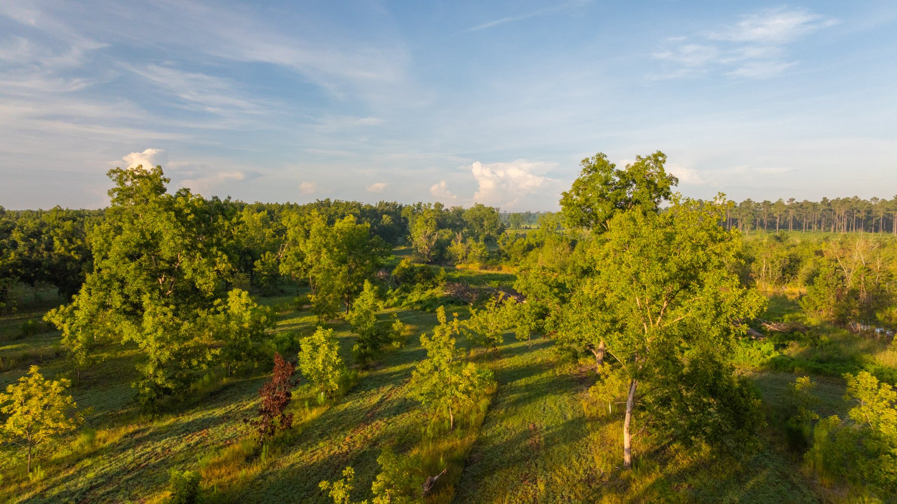 Image for 163± Acres - Chason Orchard - Ideal for Residential Homesites, Estate Lots & Expansion Opportunities - Irrigated Orchard with Home, Ample Frontage & Wooded Tracts