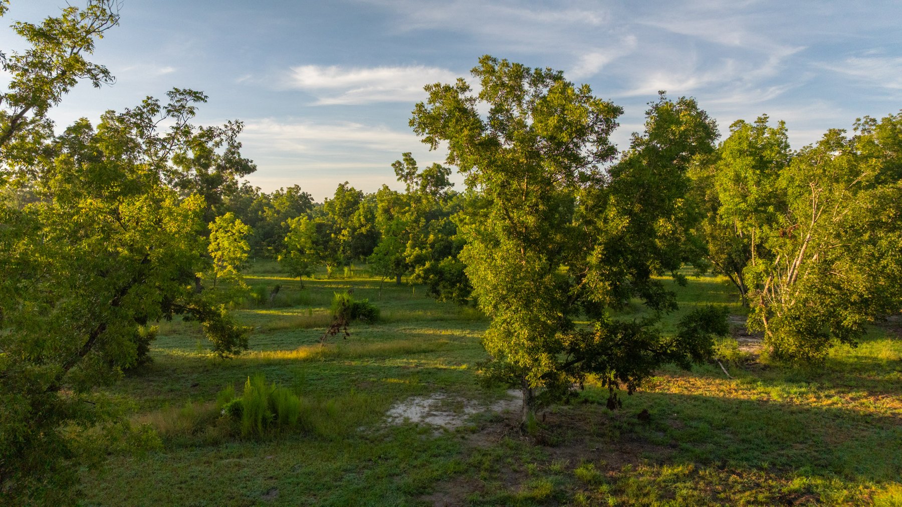 Image for 163± Acres - Chason Orchard - Ideal for Residential Homesites, Estate Lots & Expansion Opportunities - Irrigated Orchard with Home, Ample Frontage & Wooded Tracts