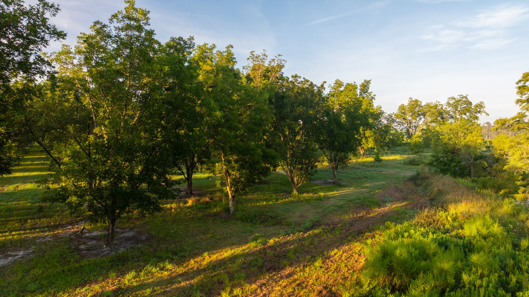Image for 163± Acres - Chason Orchard - Ideal for Residential Homesites, Estate Lots & Expansion Opportunities - Irrigated Orchard with Home, Ample Frontage & Wooded Tracts