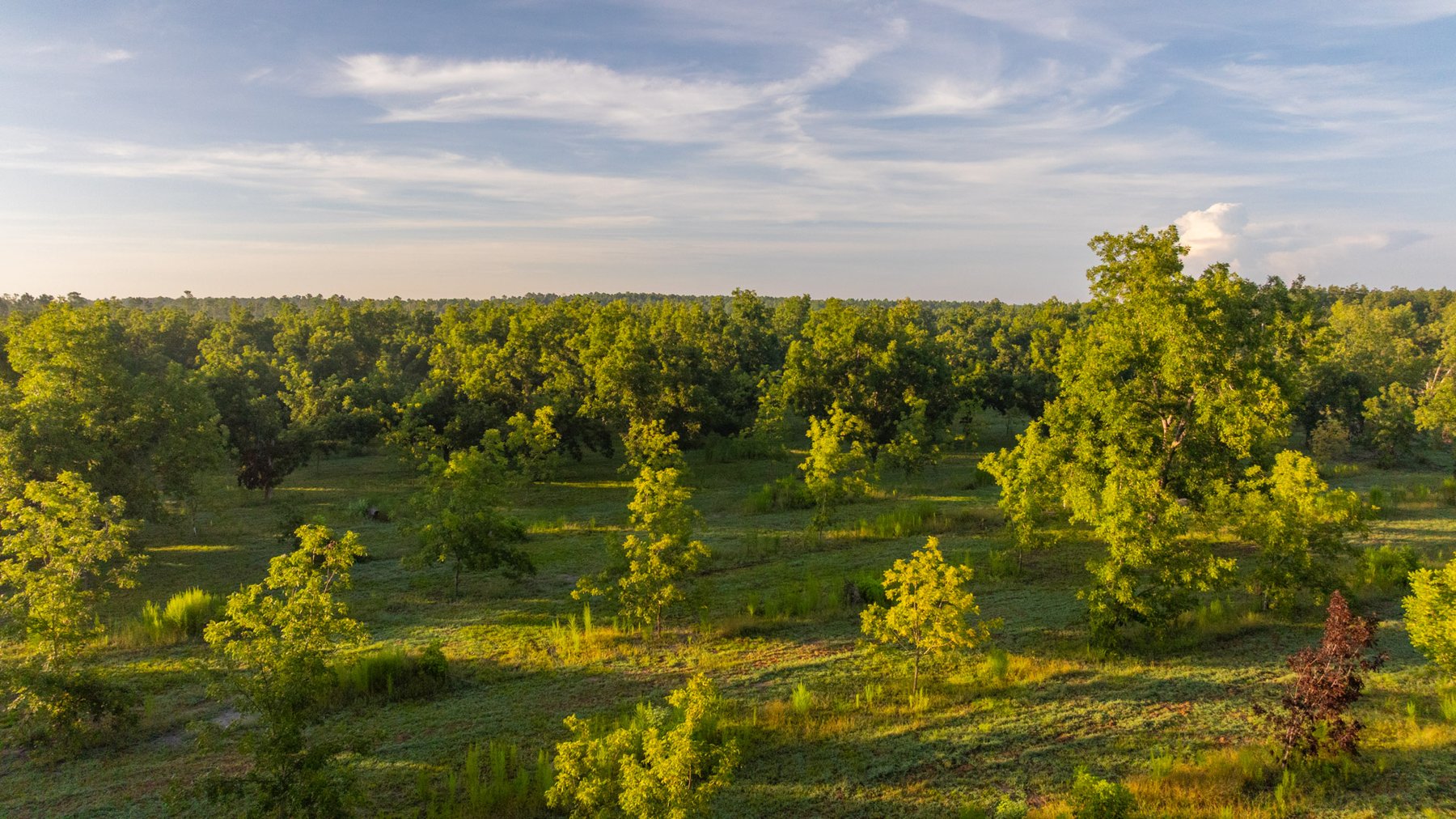 Image for 163± Acres - Chason Orchard - Ideal for Residential Homesites, Estate Lots & Expansion Opportunities - Irrigated Orchard with Home, Ample Frontage & Wooded Tracts
