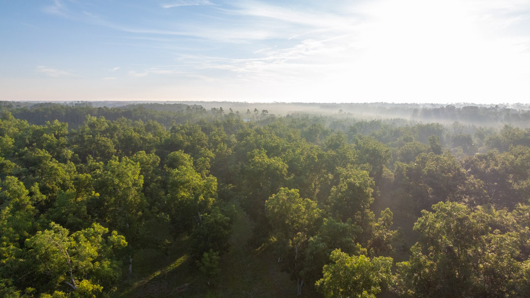 Image for 163± Acres - Chason Orchard - Ideal for Residential Homesites, Estate Lots & Expansion Opportunities - Irrigated Orchard with Home, Ample Frontage & Wooded Tracts