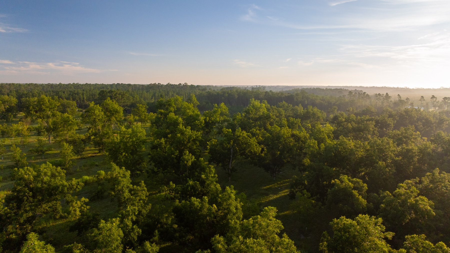 Image for 163± Acres - Chason Orchard - Ideal for Residential Homesites, Estate Lots & Expansion Opportunities - Irrigated Orchard with Home, Ample Frontage & Wooded Tracts
