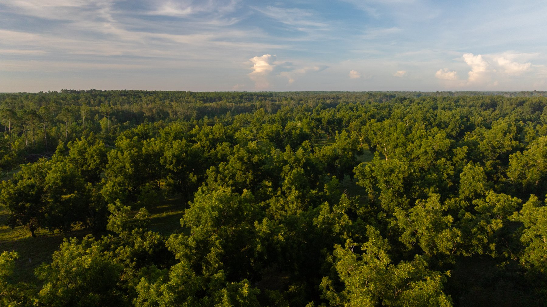 Image for 163± Acres - Chason Orchard - Ideal for Residential Homesites, Estate Lots & Expansion Opportunities - Irrigated Orchard with Home, Ample Frontage & Wooded Tracts