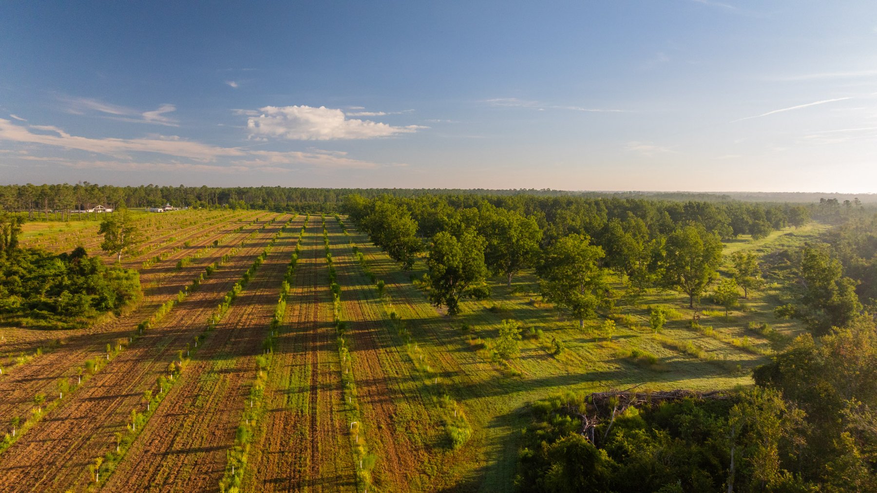 Image for 163± Acres - Chason Orchard - Ideal for Residential Homesites, Estate Lots & Expansion Opportunities - Irrigated Orchard with Home, Ample Frontage & Wooded Tracts