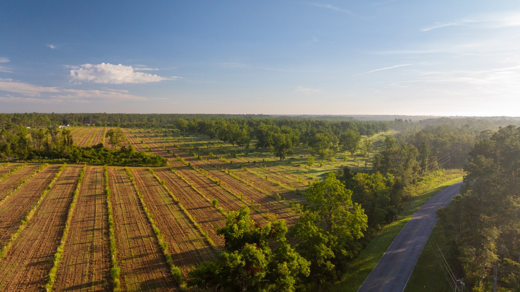 Image for 163± Acres - Chason Orchard - Ideal for Residential Homesites, Estate Lots & Expansion Opportunities - Irrigated Orchard with Home, Ample Frontage & Wooded Tracts