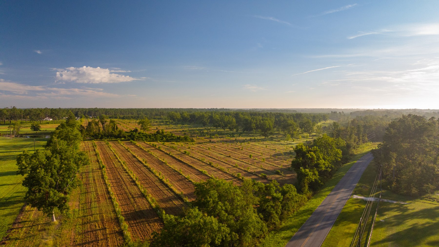 Image for 163± Acres - Chason Orchard - Ideal for Residential Homesites, Estate Lots & Expansion Opportunities - Irrigated Orchard with Home, Ample Frontage & Wooded Tracts