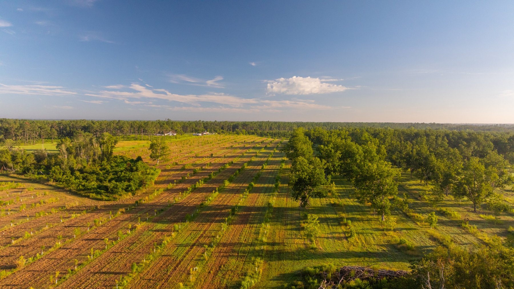 Image for 163± Acres - Chason Orchard - Ideal for Residential Homesites, Estate Lots & Expansion Opportunities - Irrigated Orchard with Home, Ample Frontage & Wooded Tracts