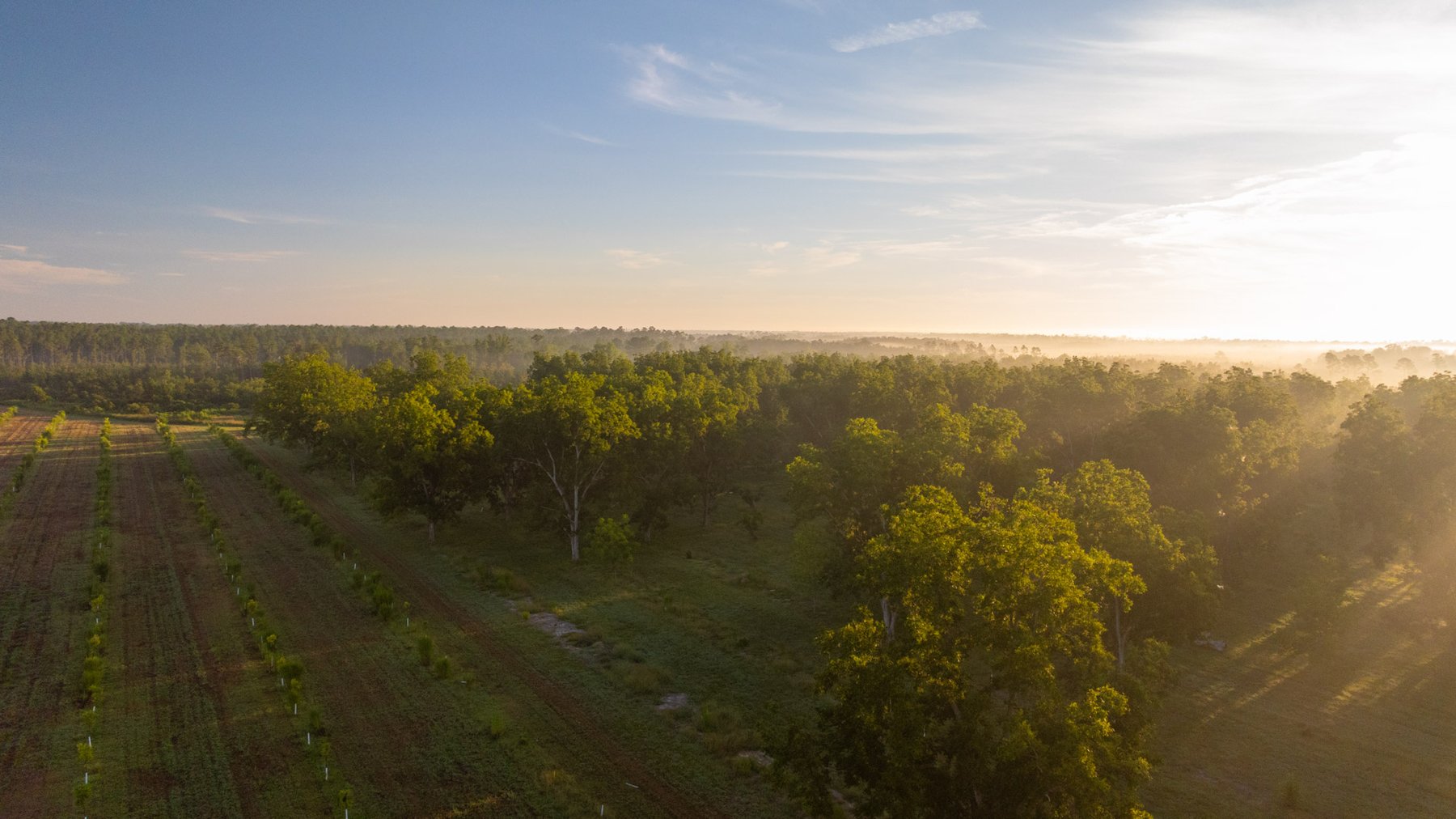 Image for 163± Acres - Chason Orchard - Ideal for Residential Homesites, Estate Lots & Expansion Opportunities - Irrigated Orchard with Home, Ample Frontage & Wooded Tracts