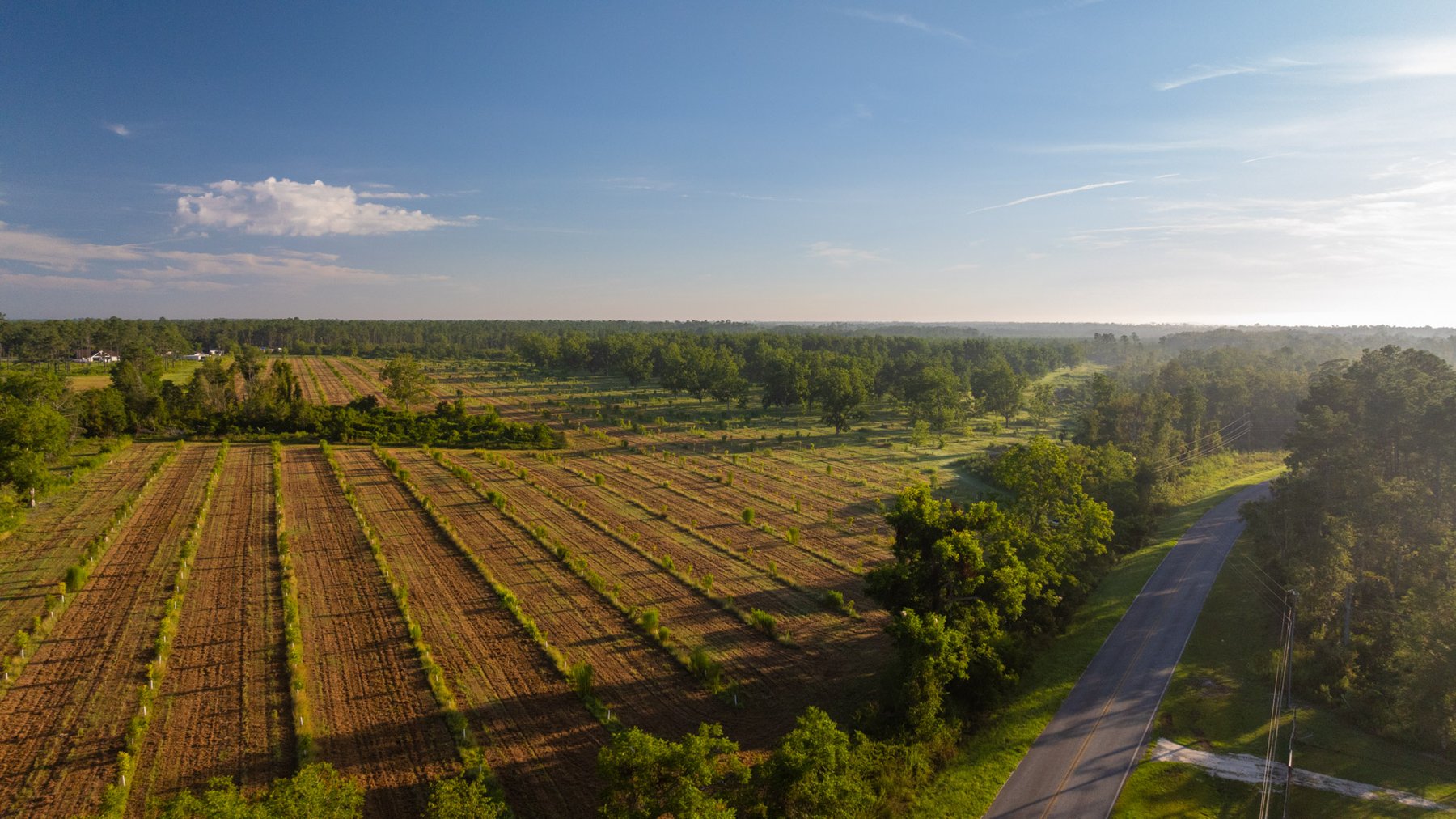 Image for 163± Acres - Chason Orchard - Ideal for Residential Homesites, Estate Lots & Expansion Opportunities - Irrigated Orchard with Home, Ample Frontage & Wooded Tracts