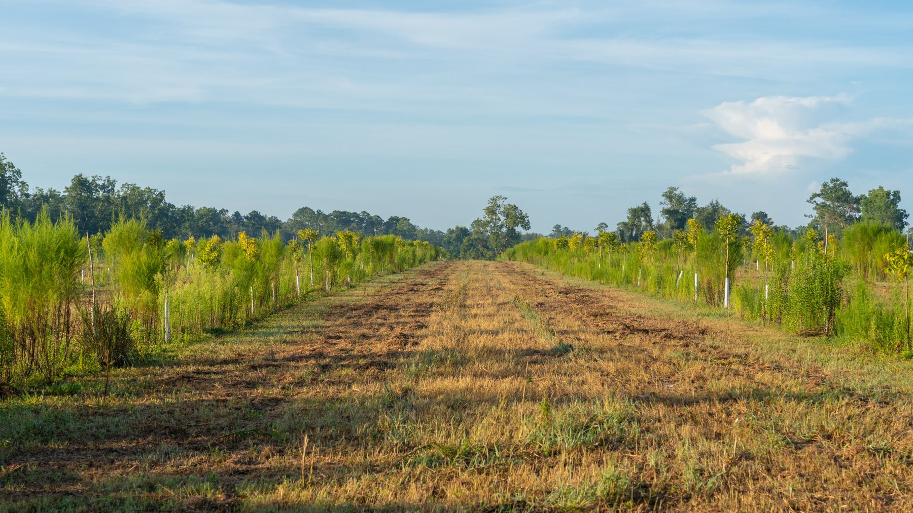 Image for 163± Acres - Chason Orchard - Ideal for Residential Homesites, Estate Lots & Expansion Opportunities - Irrigated Orchard with Home, Ample Frontage & Wooded Tracts