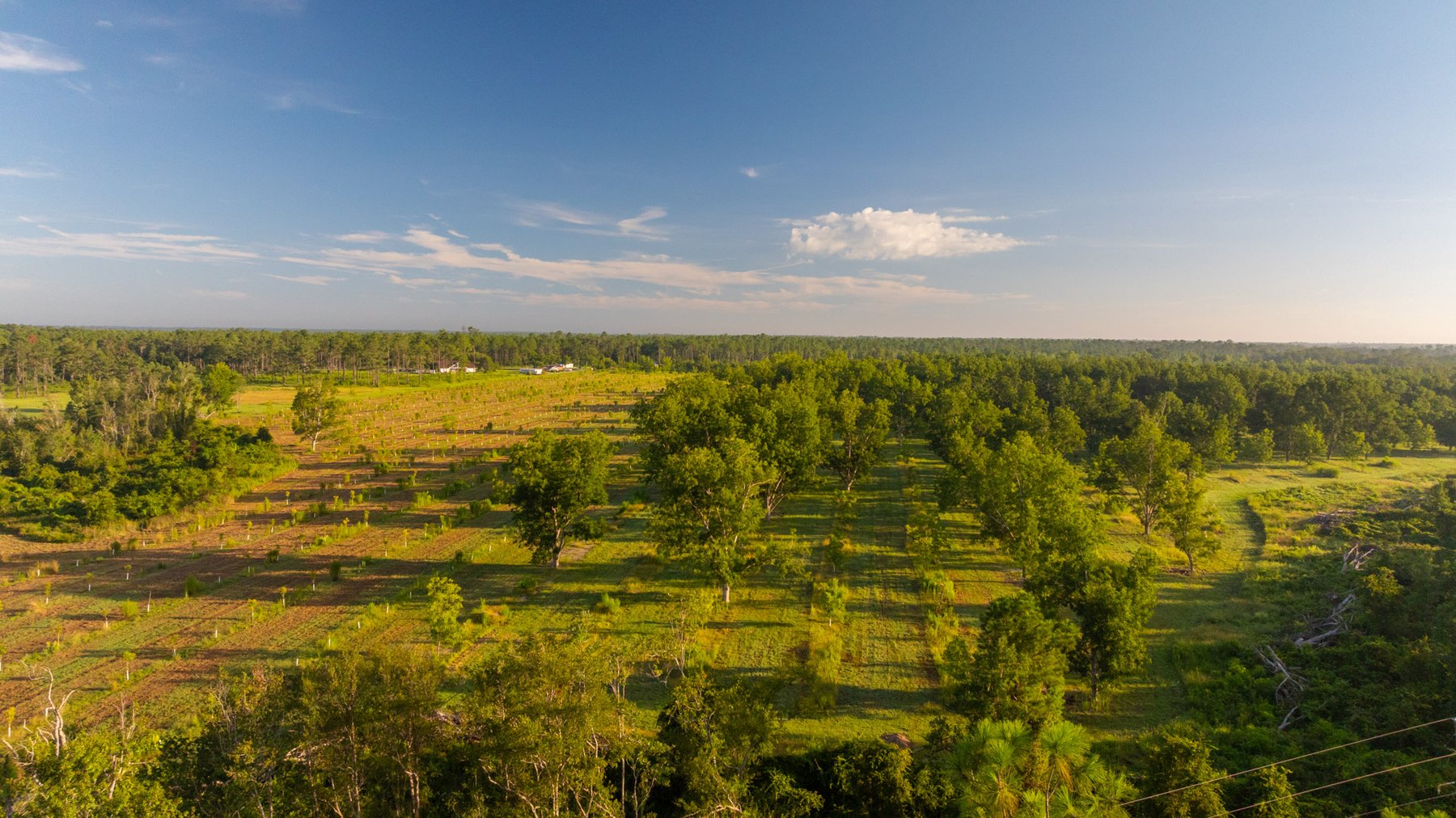 Image for 163± Acres - Chason Orchard - Ideal for Residential Homesites, Estate Lots & Expansion Opportunities - Irrigated Orchard with Home, Ample Frontage & Wooded Tracts