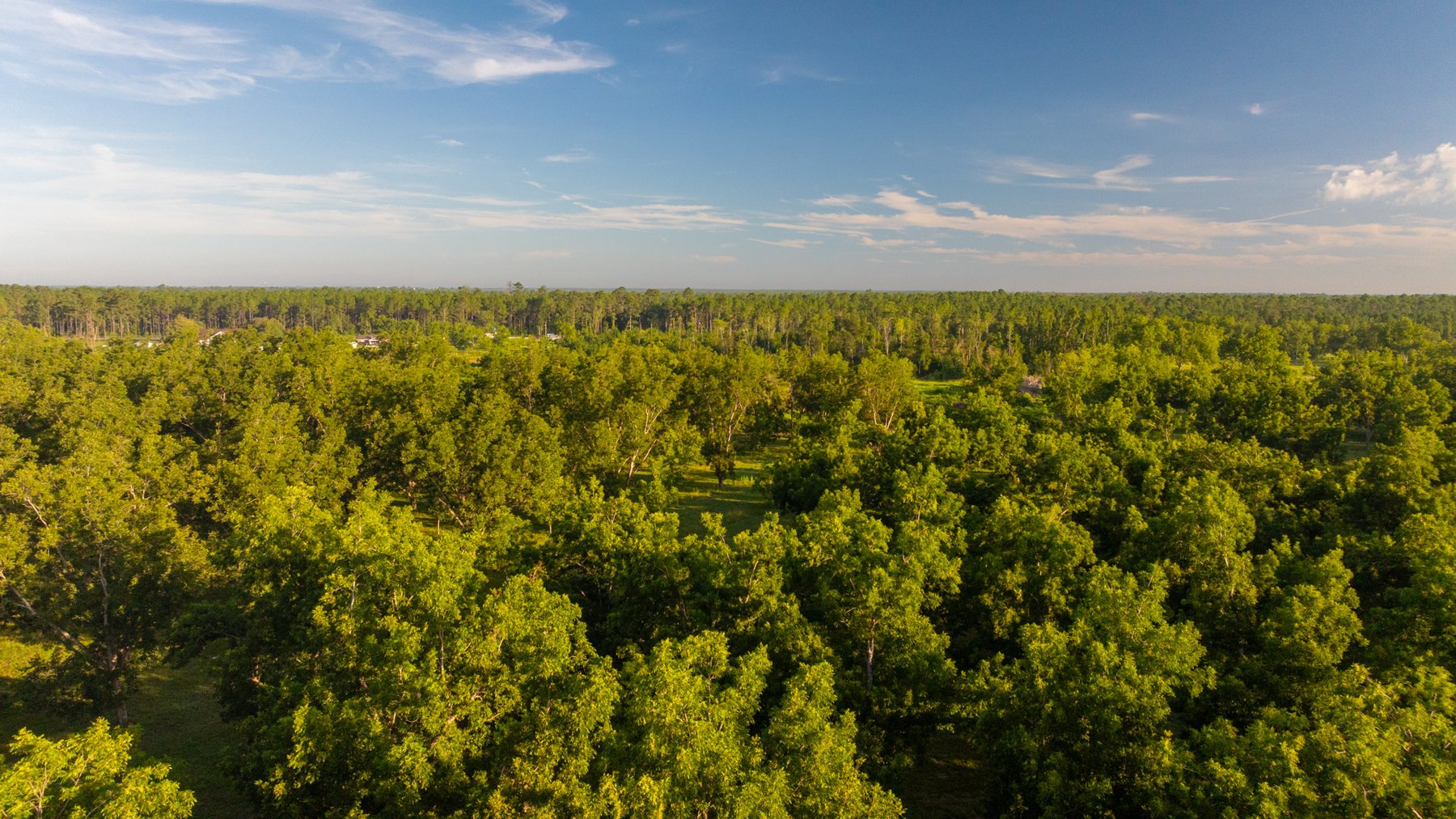 Image for 163± Acres - Chason Orchard - Ideal for Residential Homesites, Estate Lots & Expansion Opportunities - Irrigated Orchard with Home, Ample Frontage & Wooded Tracts