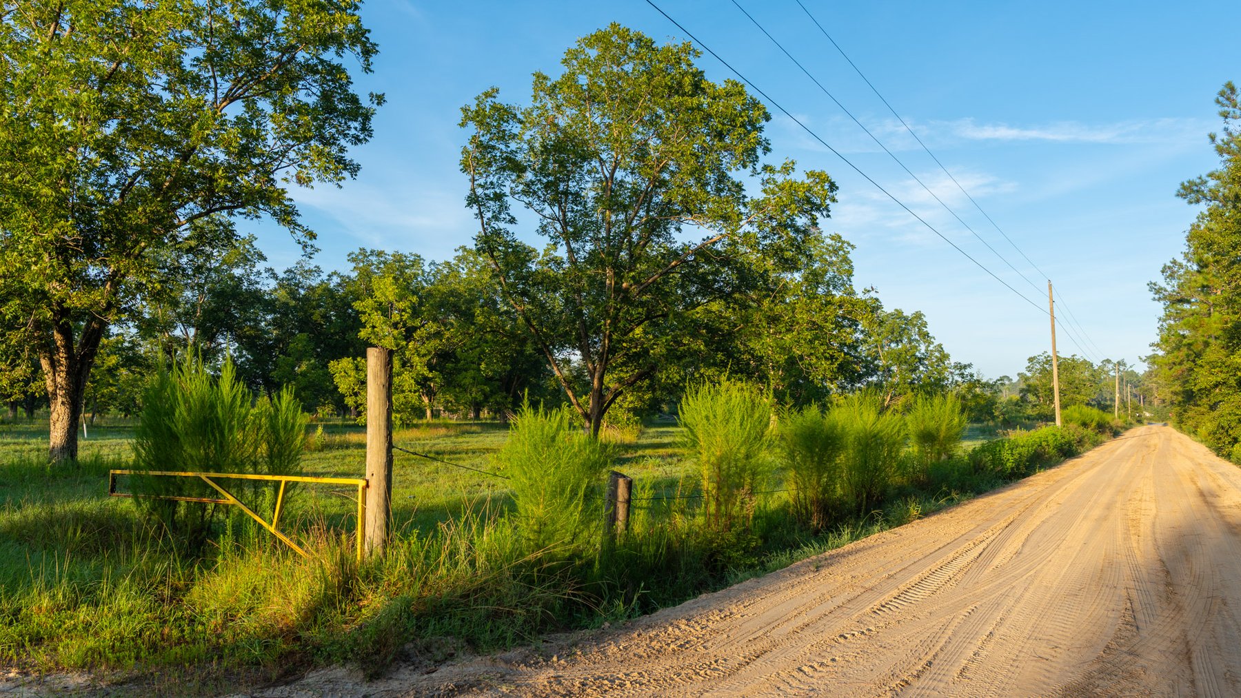 Image for 163± Acres - Chason Orchard - Ideal for Residential Homesites, Estate Lots & Expansion Opportunities - Irrigated Orchard with Home, Ample Frontage & Wooded Tracts