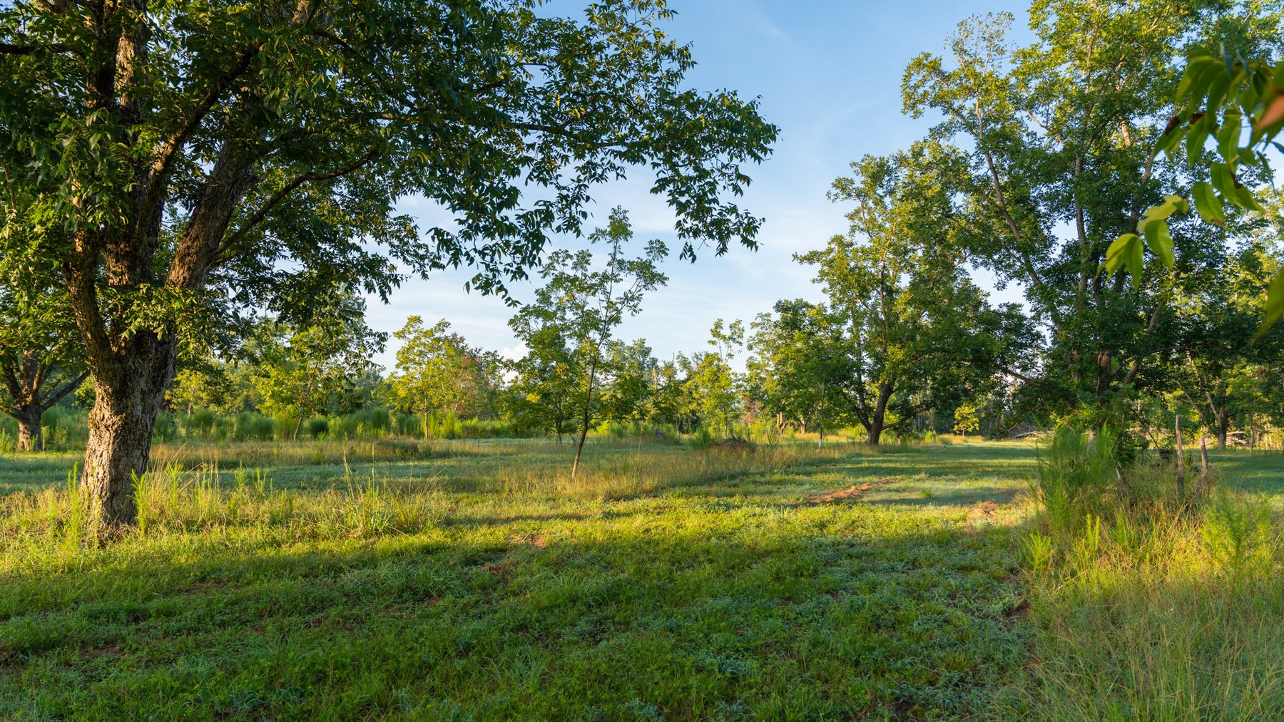 Image for 163± Acres - Chason Orchard - Ideal for Residential Homesites, Estate Lots & Expansion Opportunities - Irrigated Orchard with Home, Ample Frontage & Wooded Tracts